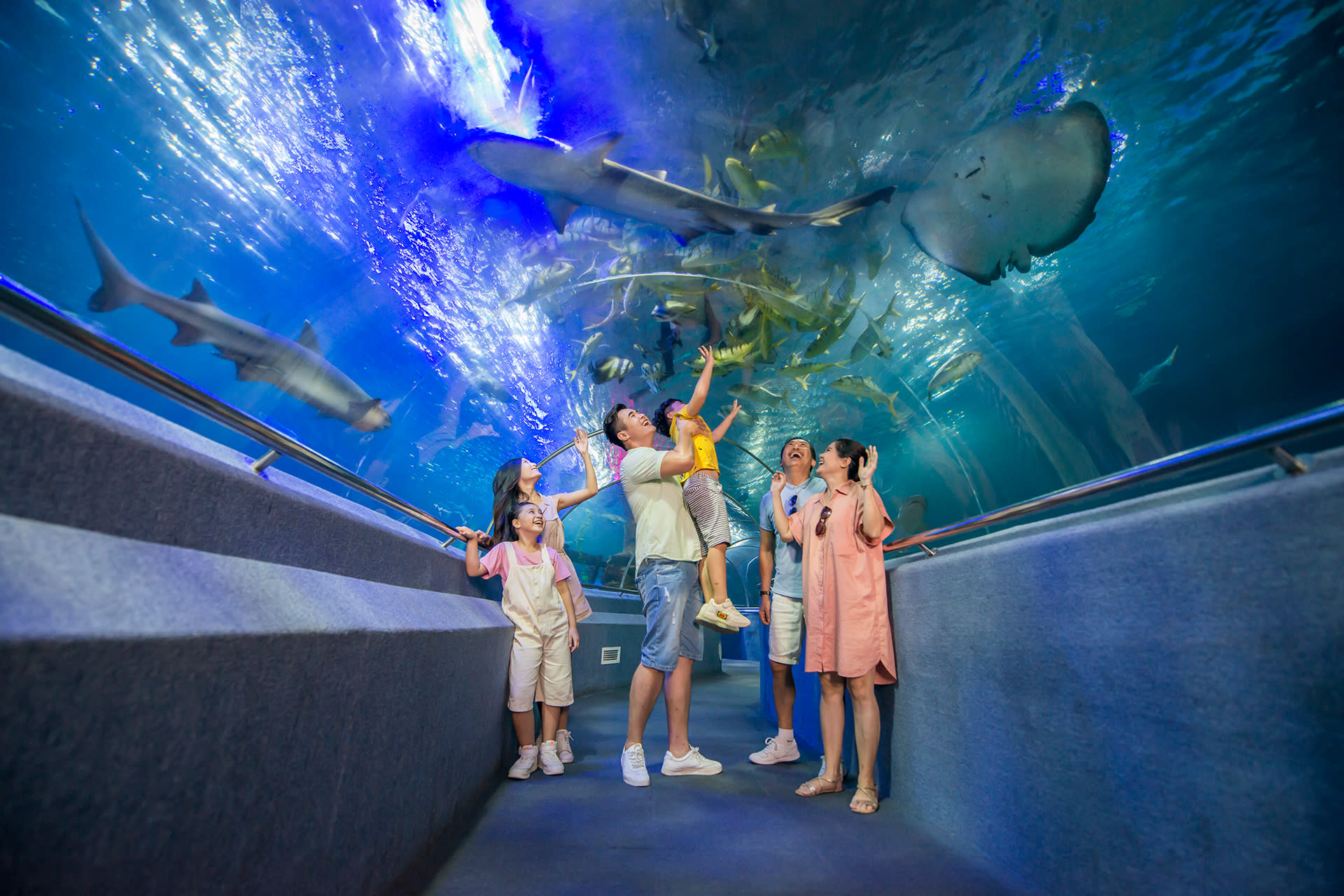 Private Check-out Tour: VinWonders, Dinner & Airport Drop-off - Image 1