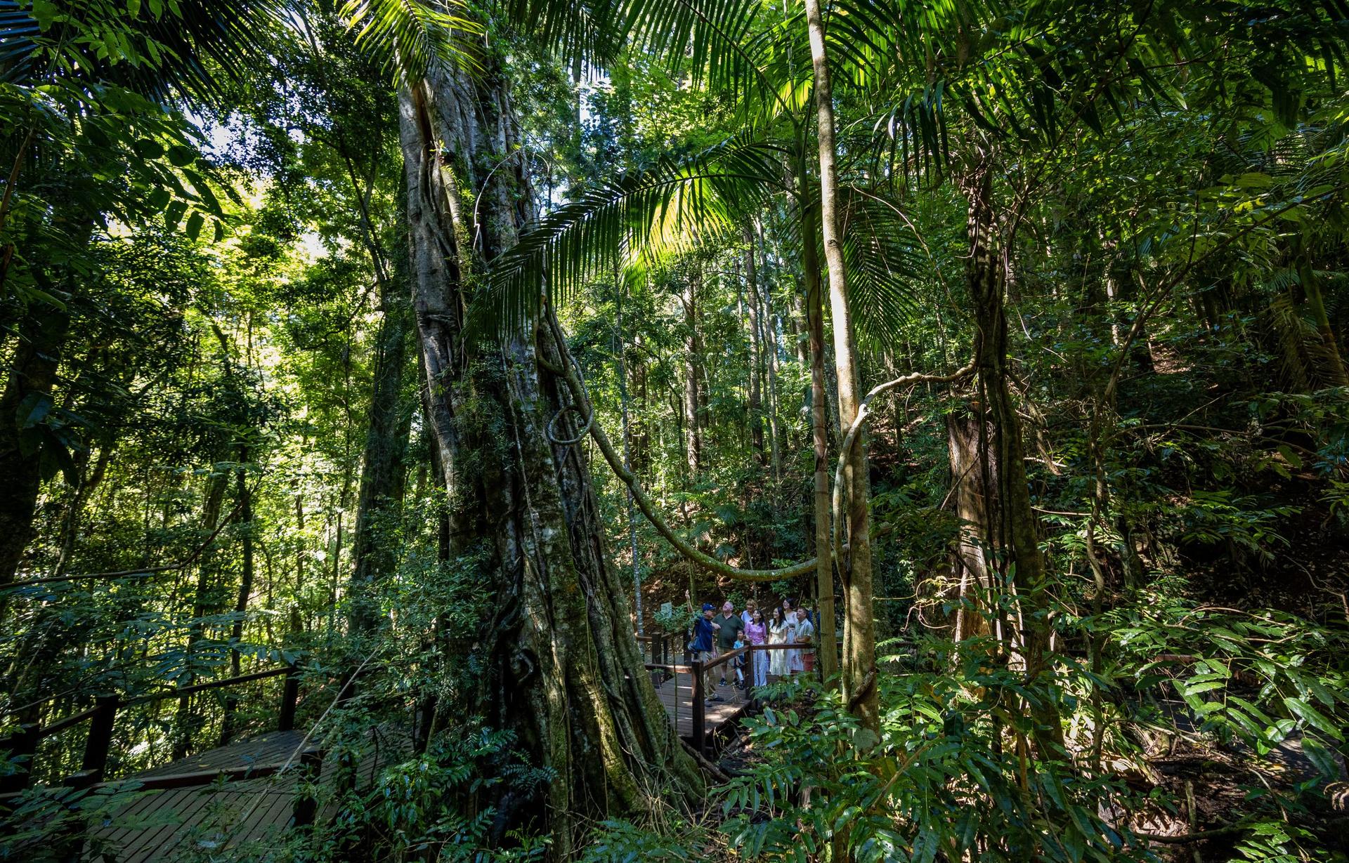Gold Coast Day Tour from Brisbane - Thumbnail 9