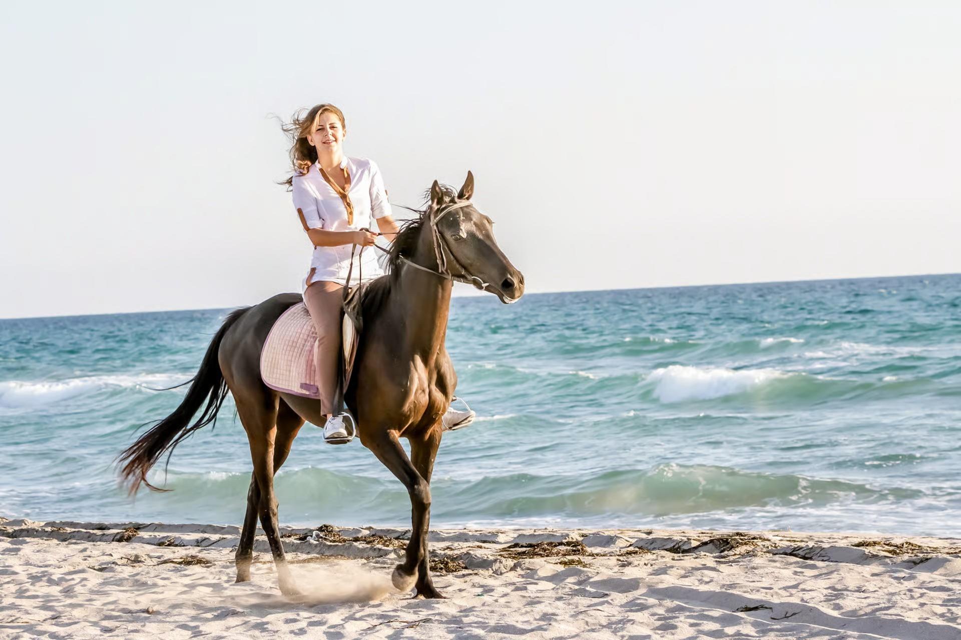 Horseback Riding Experience in Bodrum with Hotel Transfers - Thumbnail 7