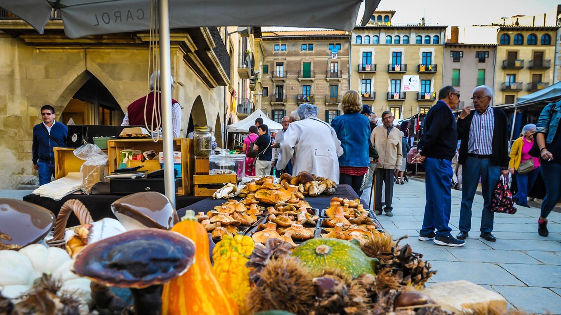 Pyrenees Mountains and Medieval Villages tour from Barcelona - Thumbnail 2