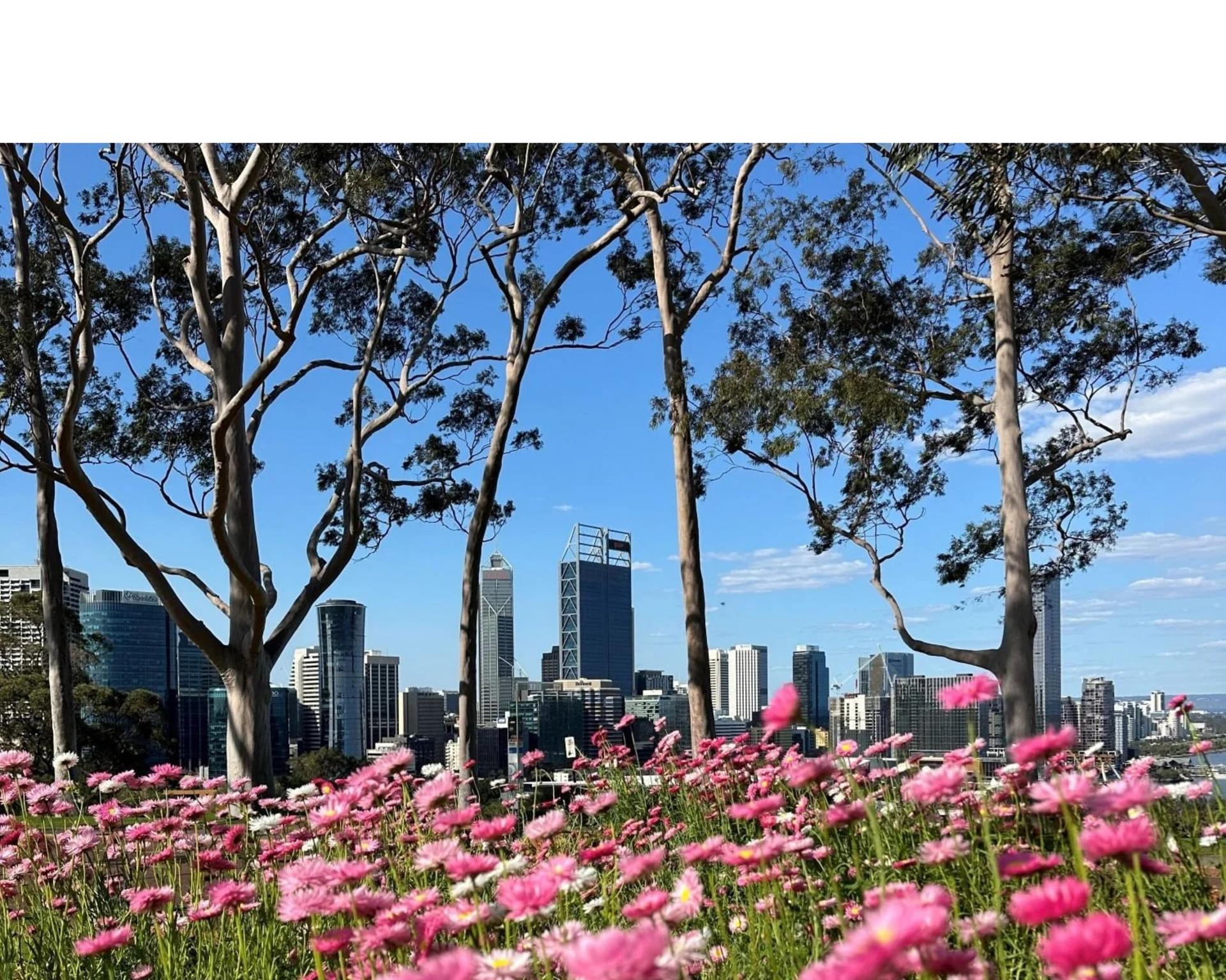 Morning Perth & Fremantle City Explorer Half-Day Tour - Thumbnail 6