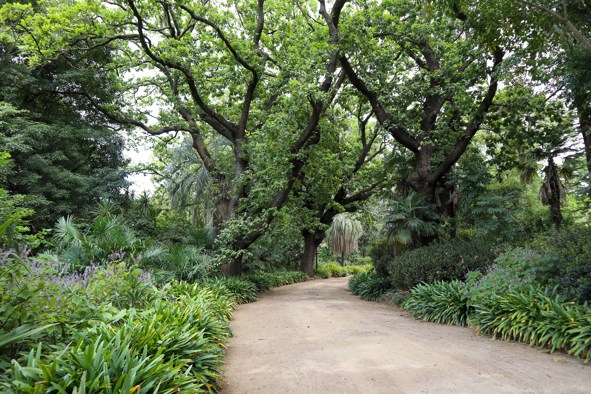 Rippon Lea Estate Ticket - Thumbnail 3