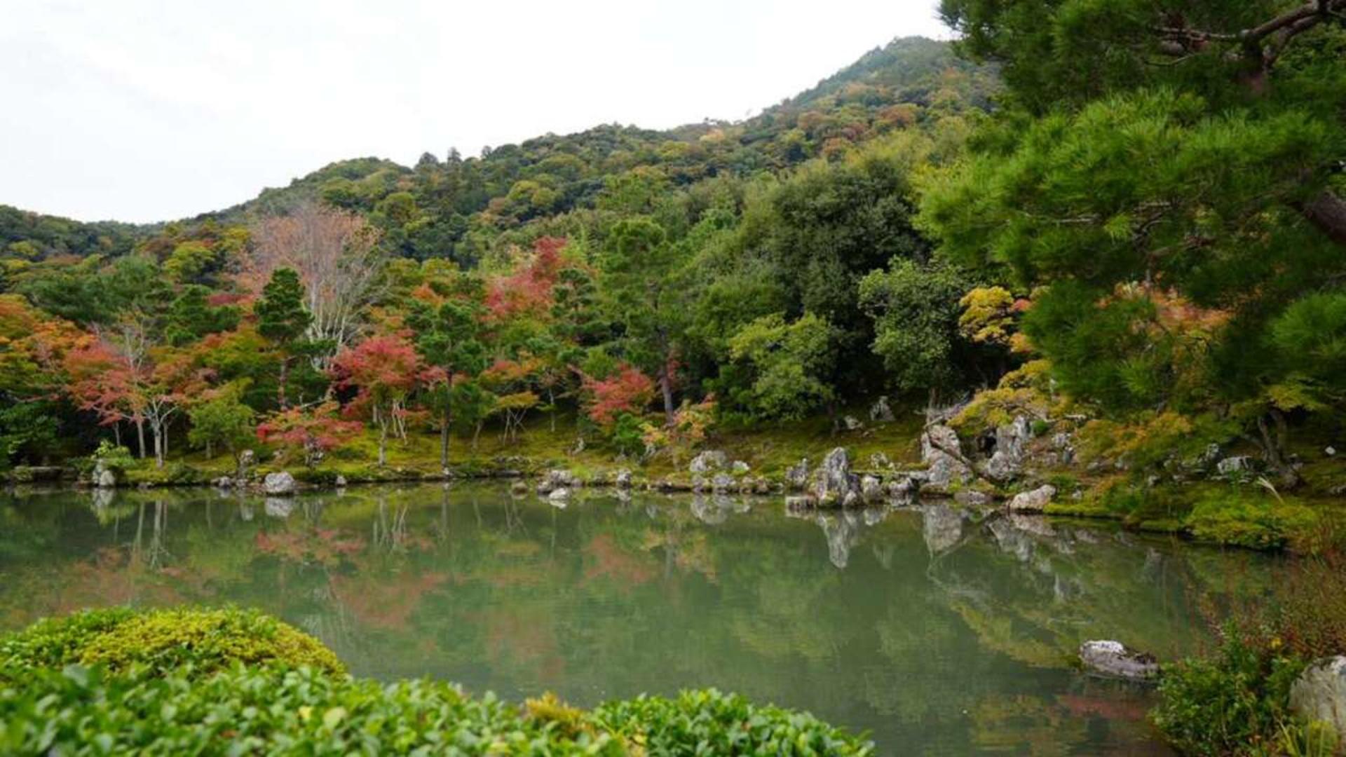 Kyoto: Arashiyama UNESCO Walking Tour with Admission - Thumbnail 8