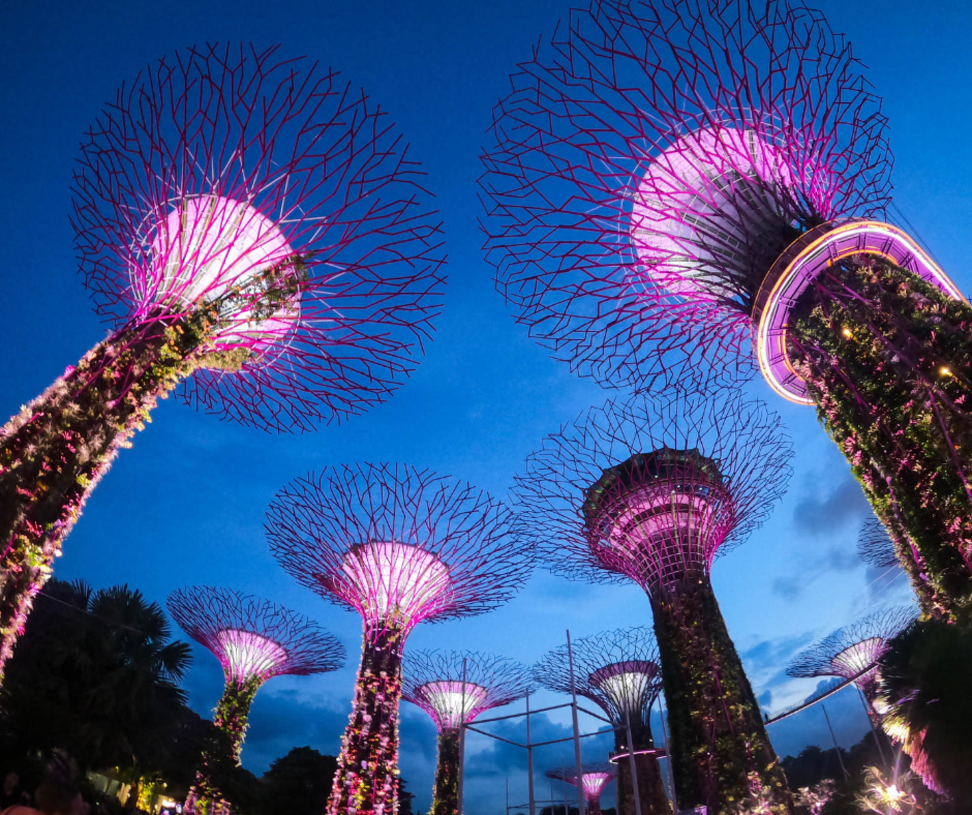 Singapore Marina Bay Wonders & Heritage Tales(Chinatown) - Thumbnail 7