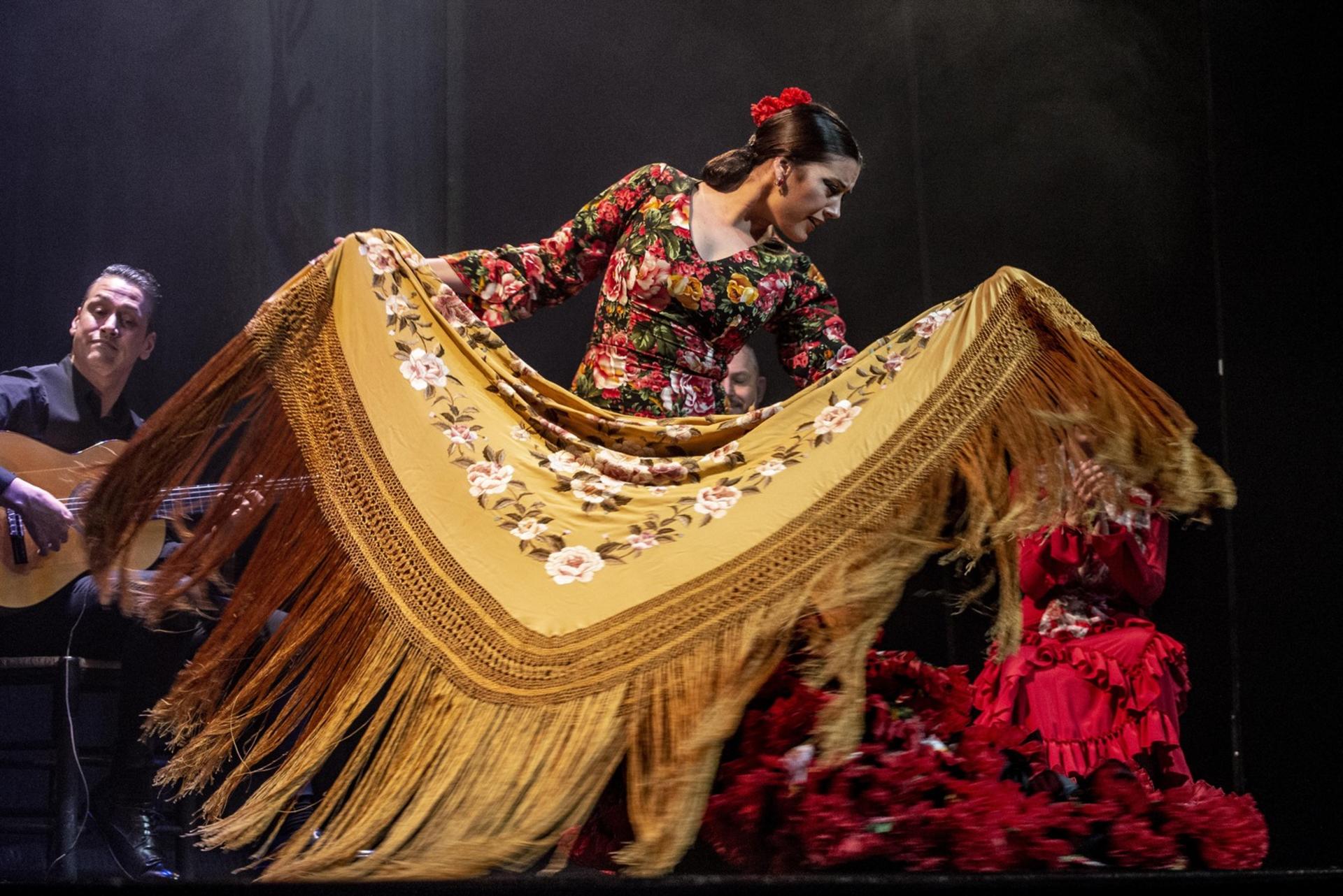 Emociones Flamenco Show in Madrid - Thumbnail 5