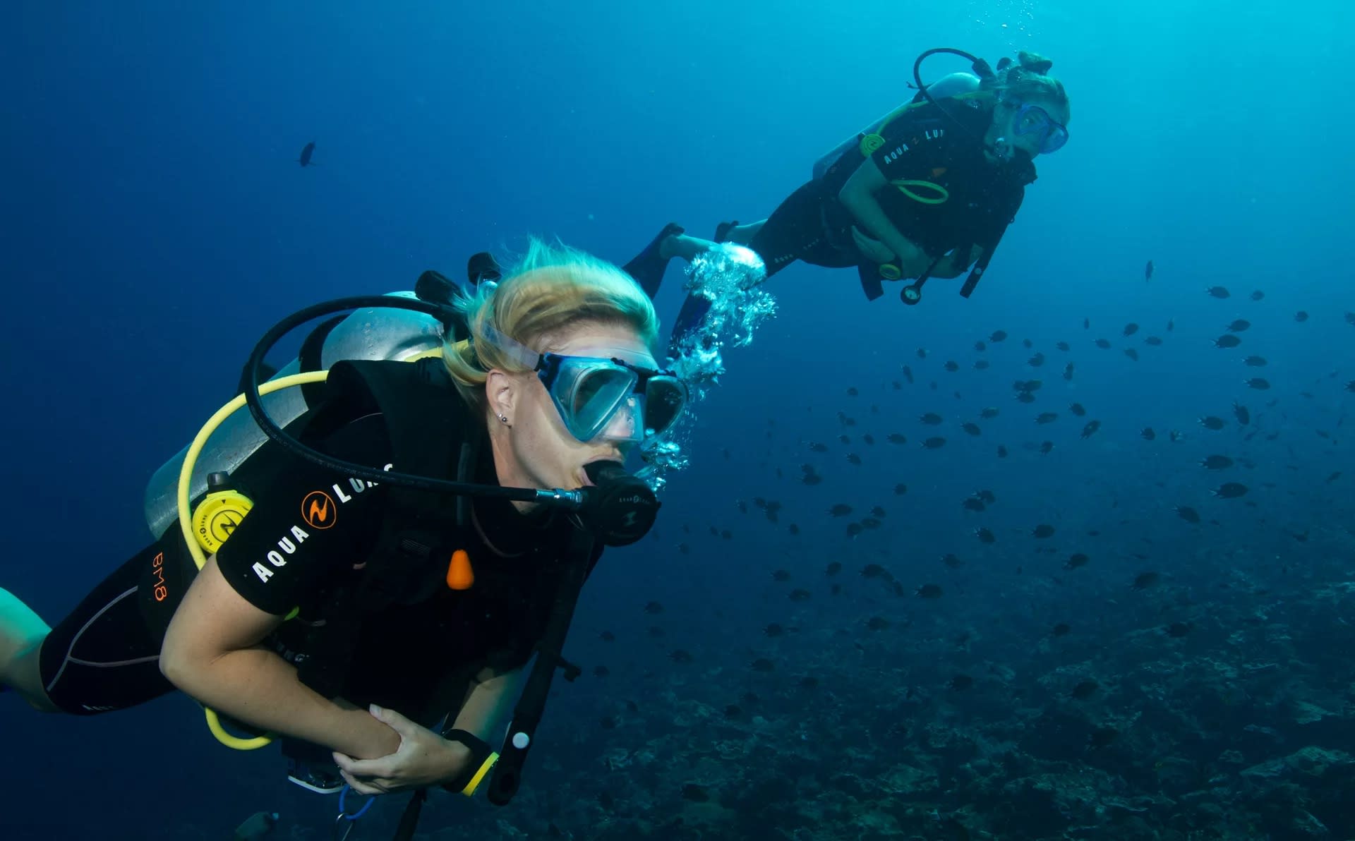 Master Komodo's Depths: Advanced Diver Course with PADI 5* Center - Thumbnail 7