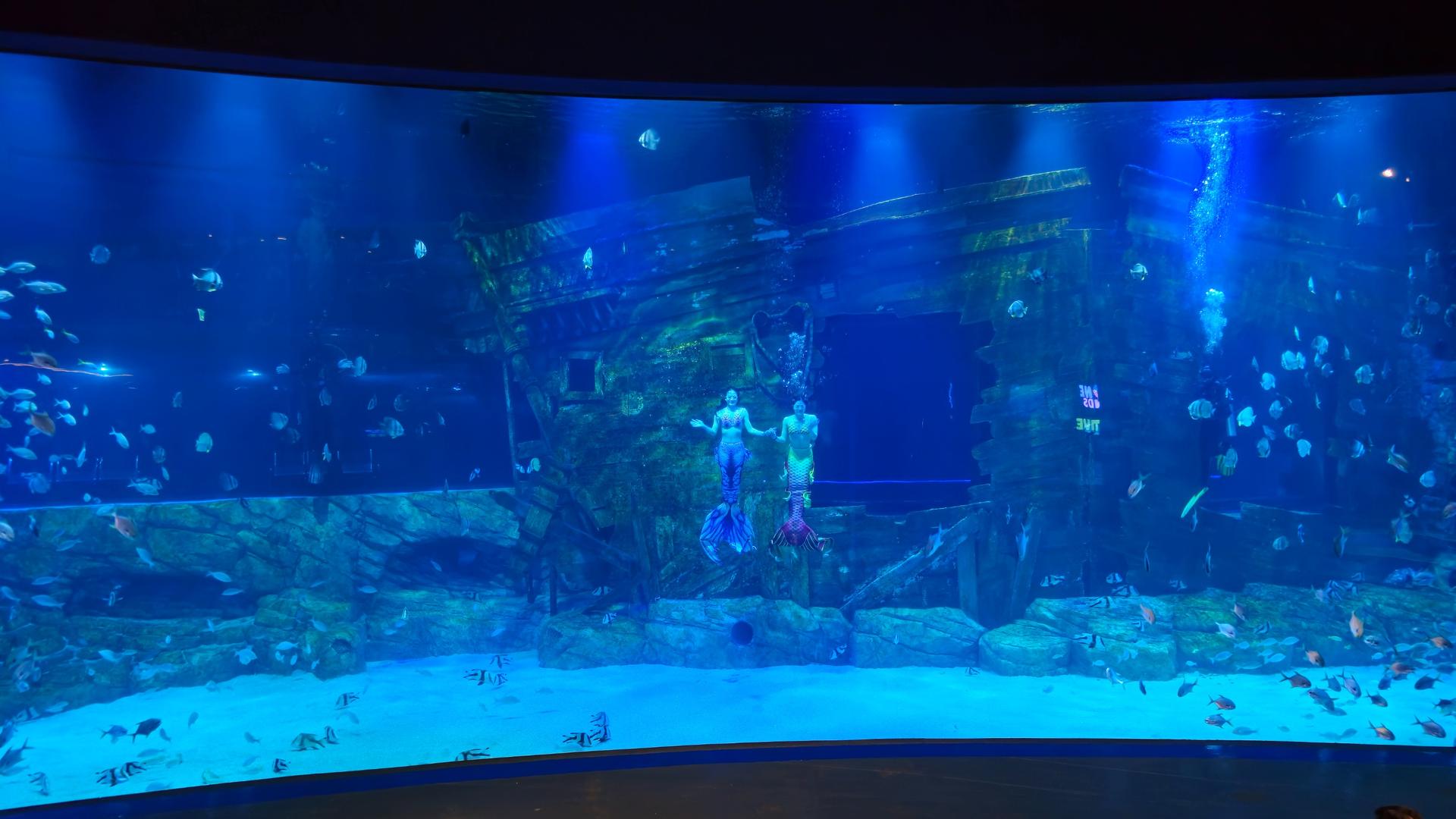 Lotte World Aquarium Hanoi Ticket - Thumbnail 12