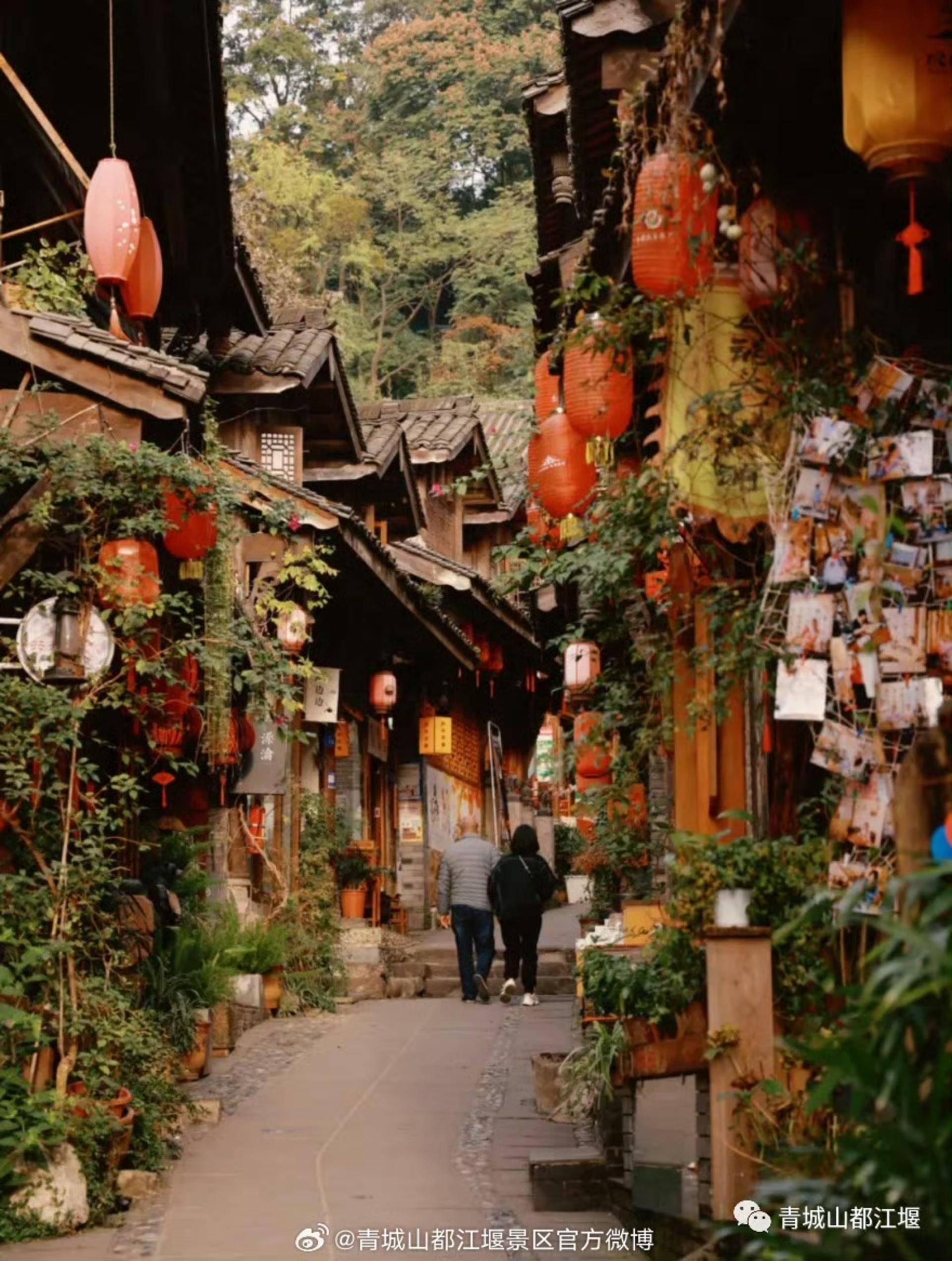 Panda Base & Dujiangyan Full-Day Guided Tour - Thumbnail 10