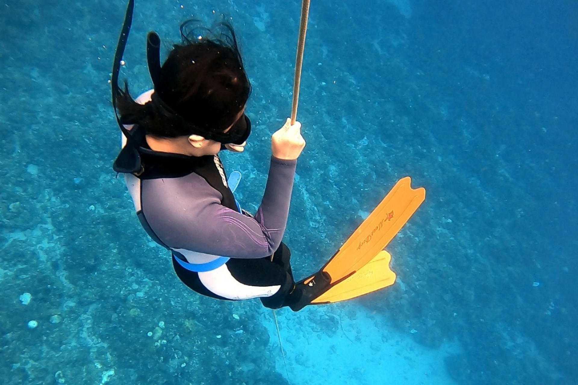 New Taipei City, Gongliao Longdong Diving Together  - Thumbnail 2