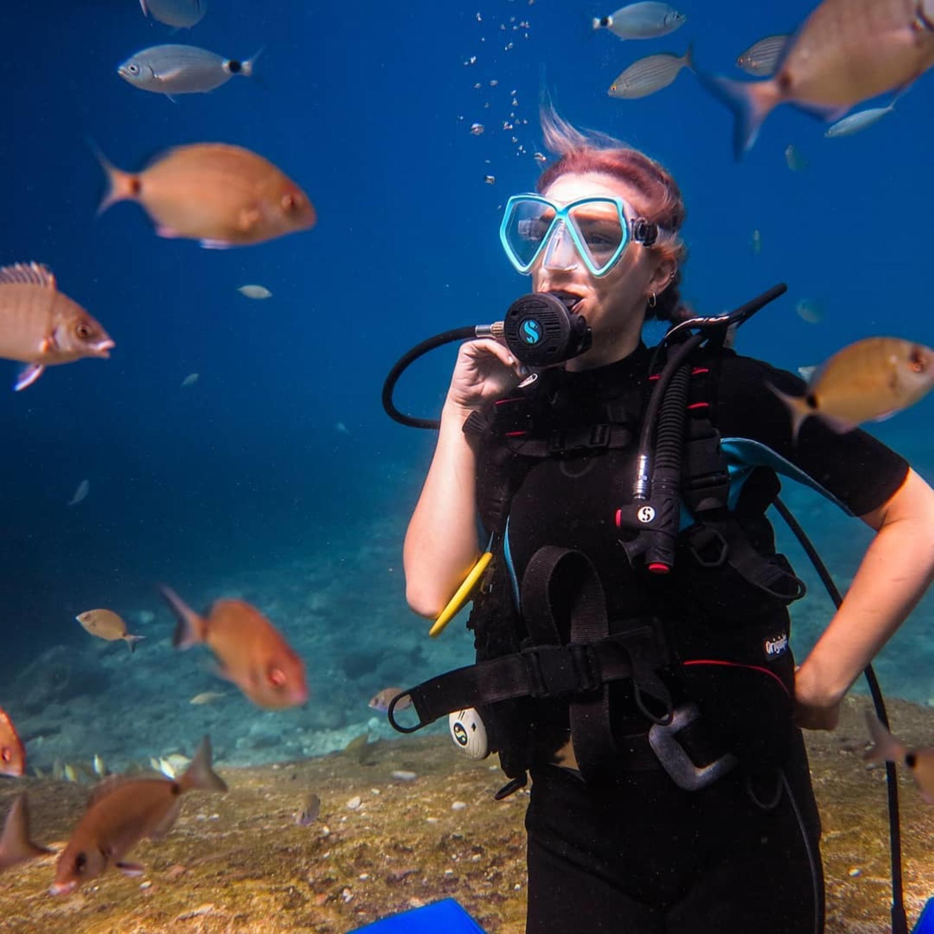 Scuba Diving in Fethiye with Lunch & Roundtrip Transfer  - Thumbnail 10