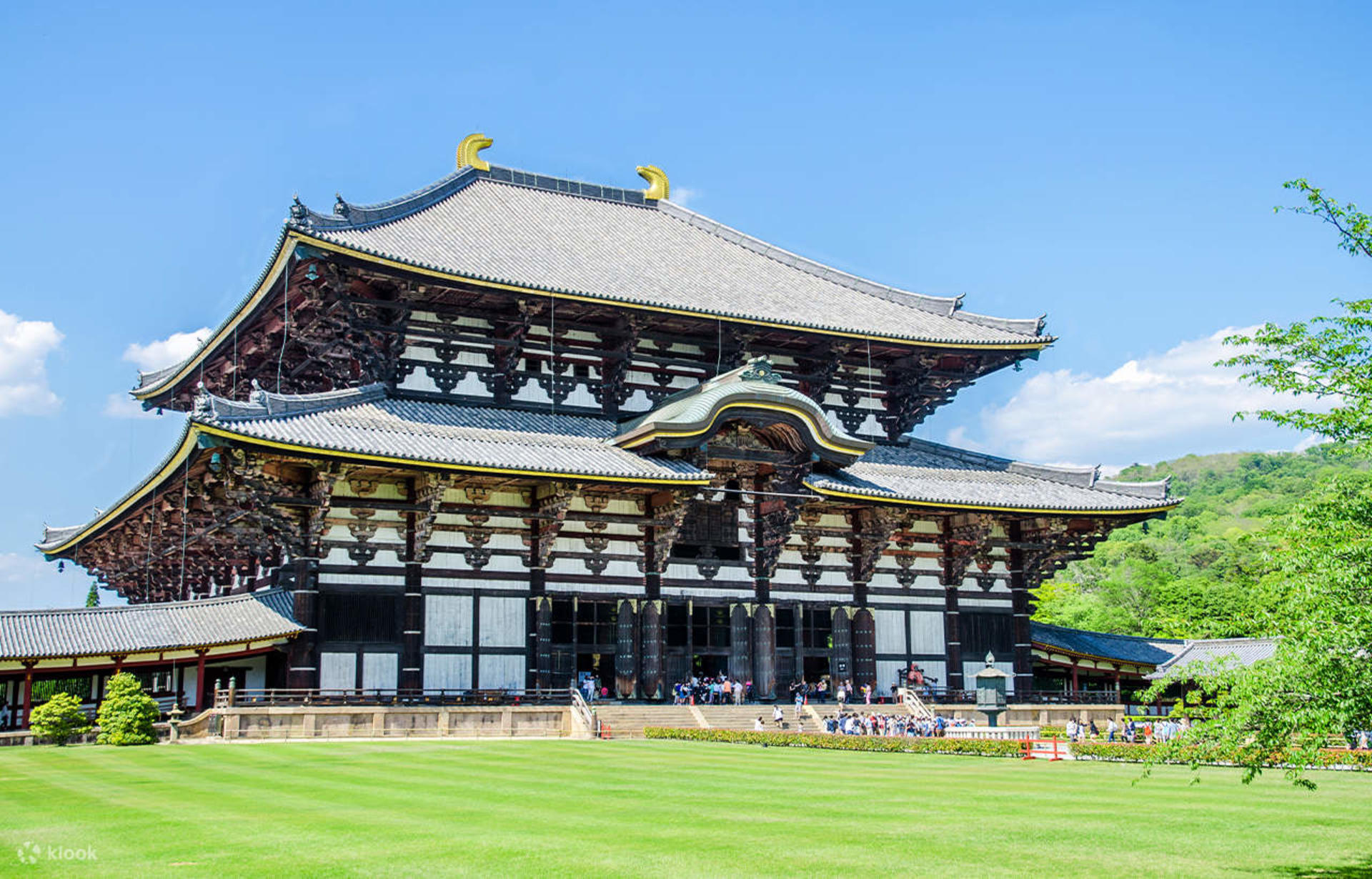 [1 Person Group] Meet adorable deer, stroll through ancient capitals: Kyoto, Nara, Osaka Kansai classic panoramic one-day tour - Thumbnail 7