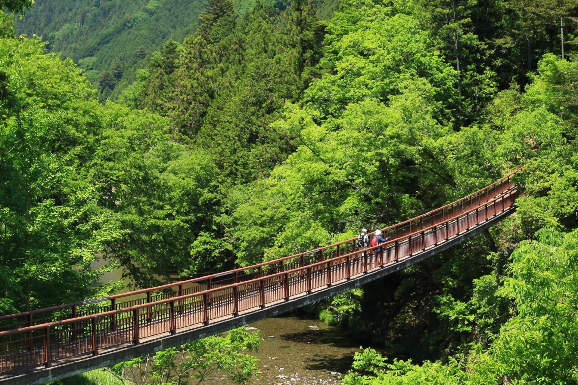 Akiruno Electric Bike & Nature Half-Day Tour - Thumbnail 4