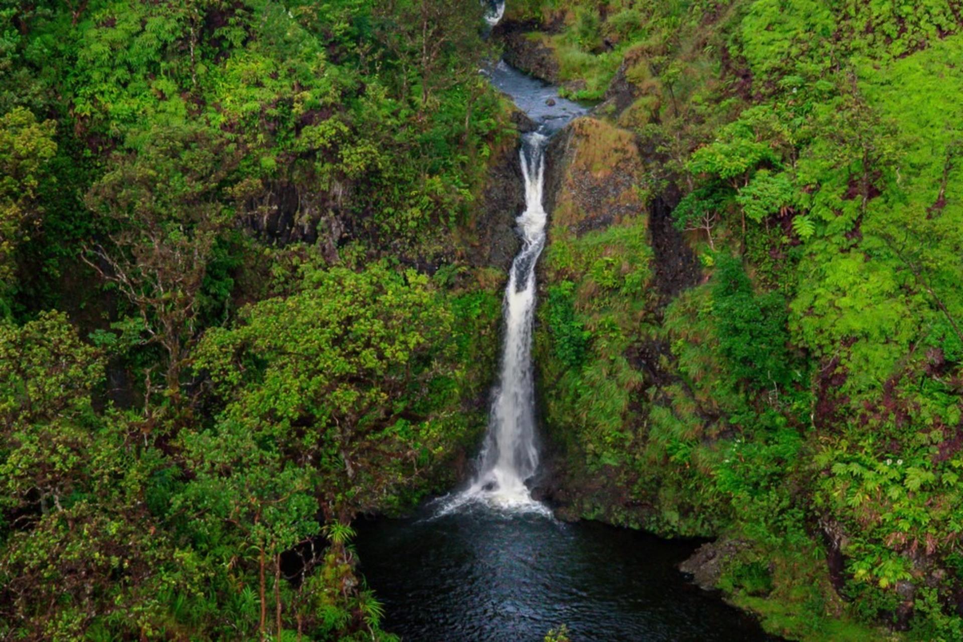 Hana Rainforest Helicopter Tour from Kahului - Thumbnail 4