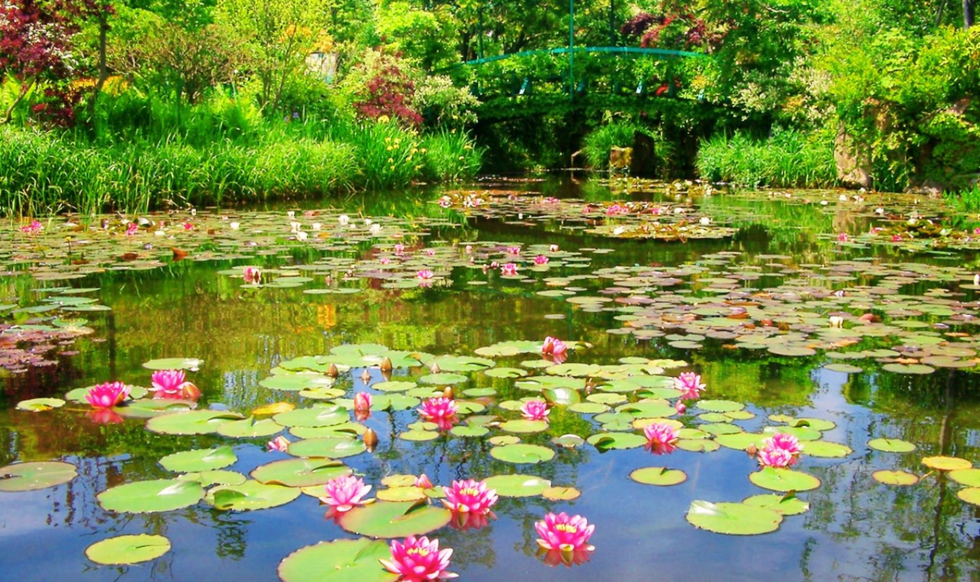 Garden Museum Hiei - Thumbnail 9