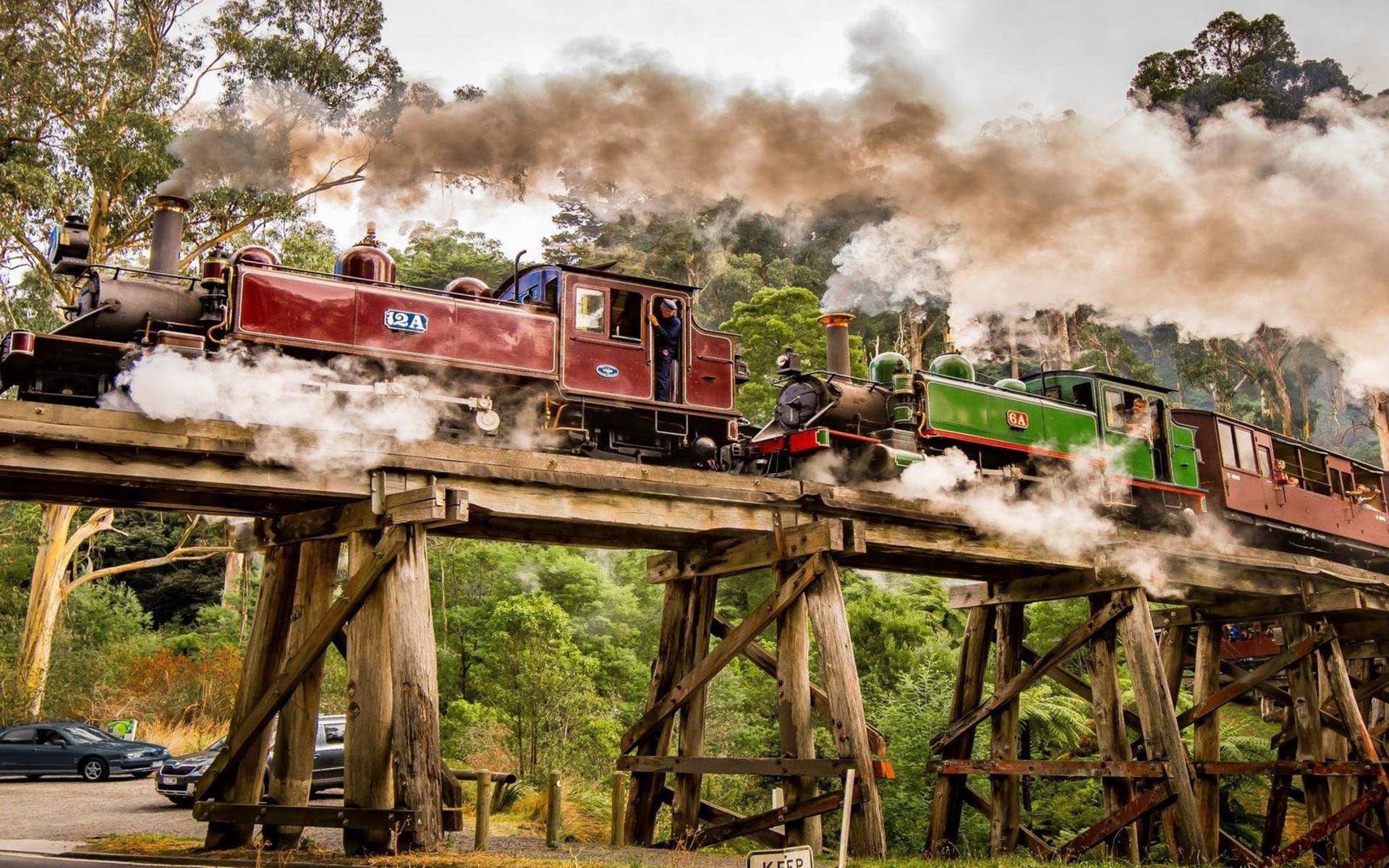 Puffing Billy Steam Train and Wildlife Zoo Day Tour - Thumbnail 4