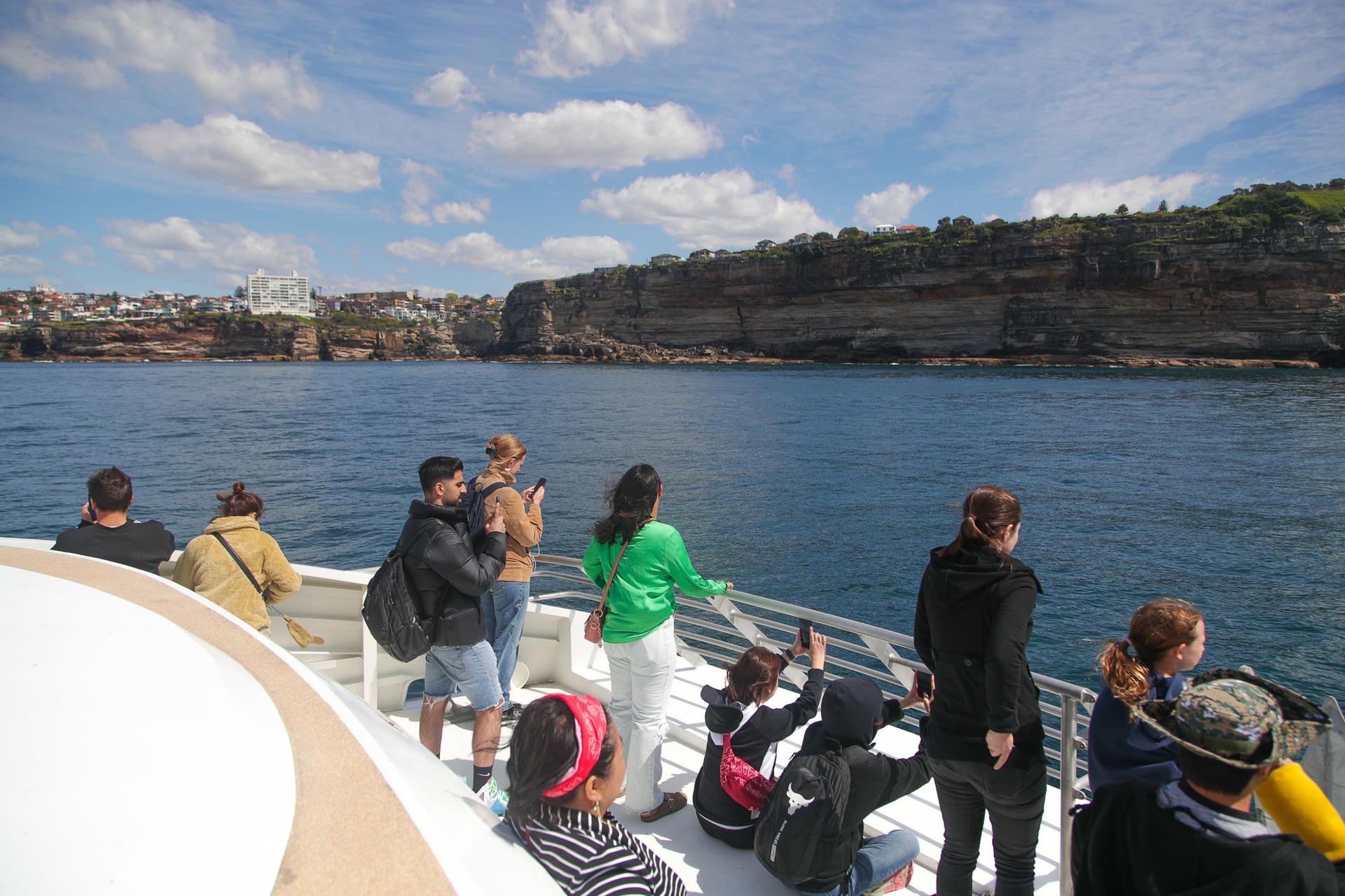 2-Hour Whale Watching Sydney Harbour Cruise - Thumbnail 8