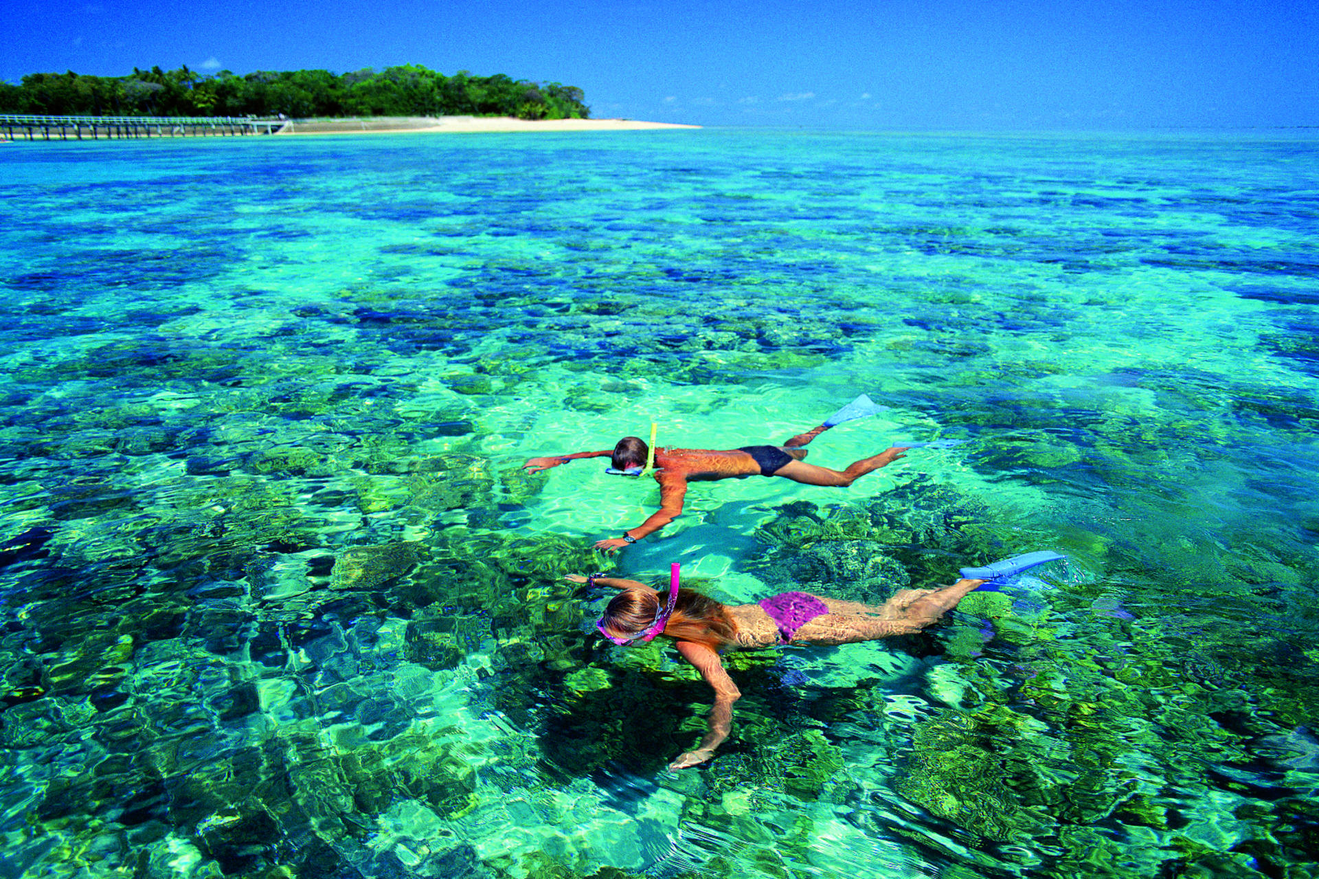 Half Day Green Island Reef Cruise from Cairns - Thumbnail 3