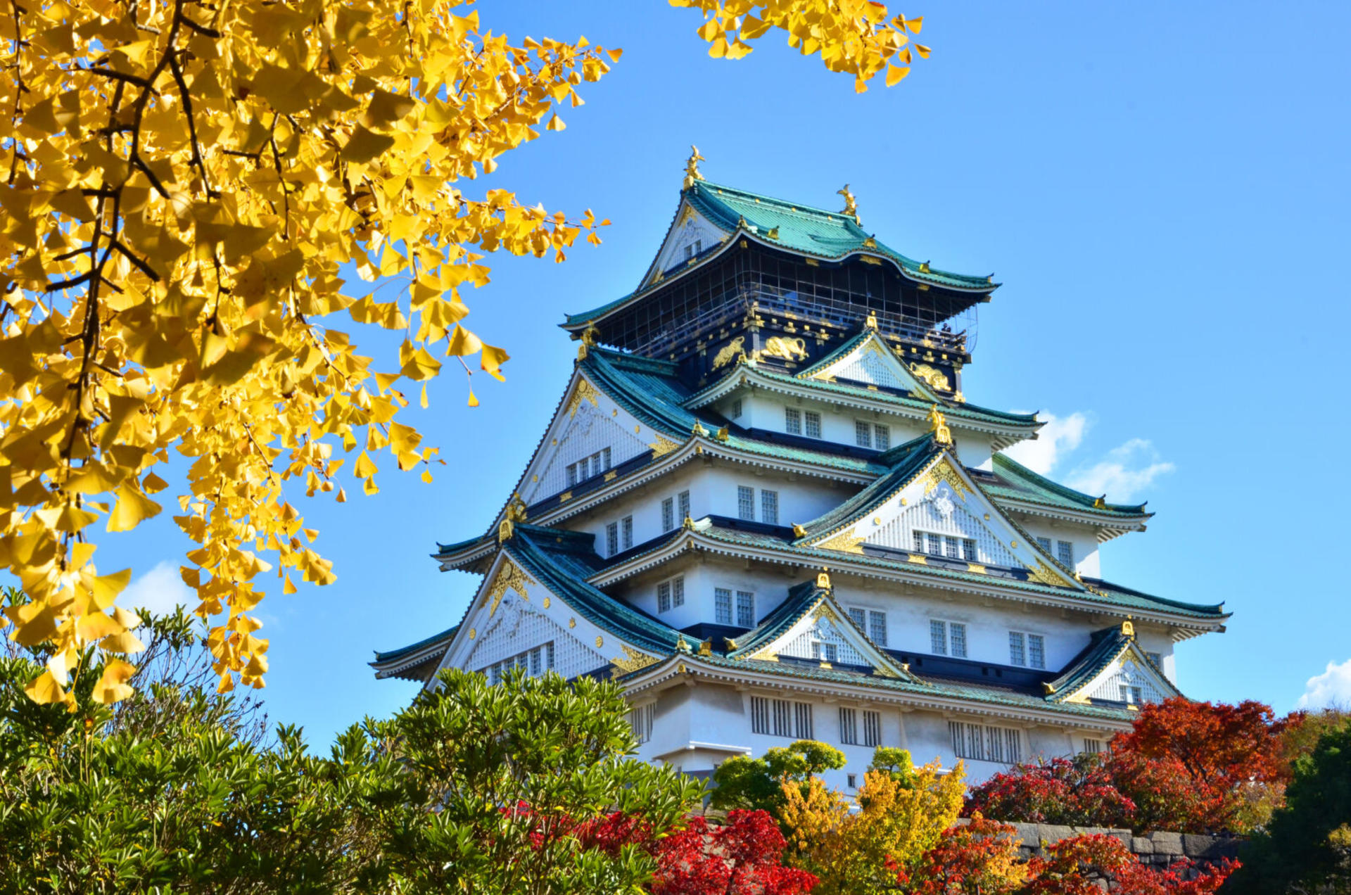 Osaka City, Osaka Castle, Kuromon Market, & Dotonbori Walking Tour - Thumbnail 4
