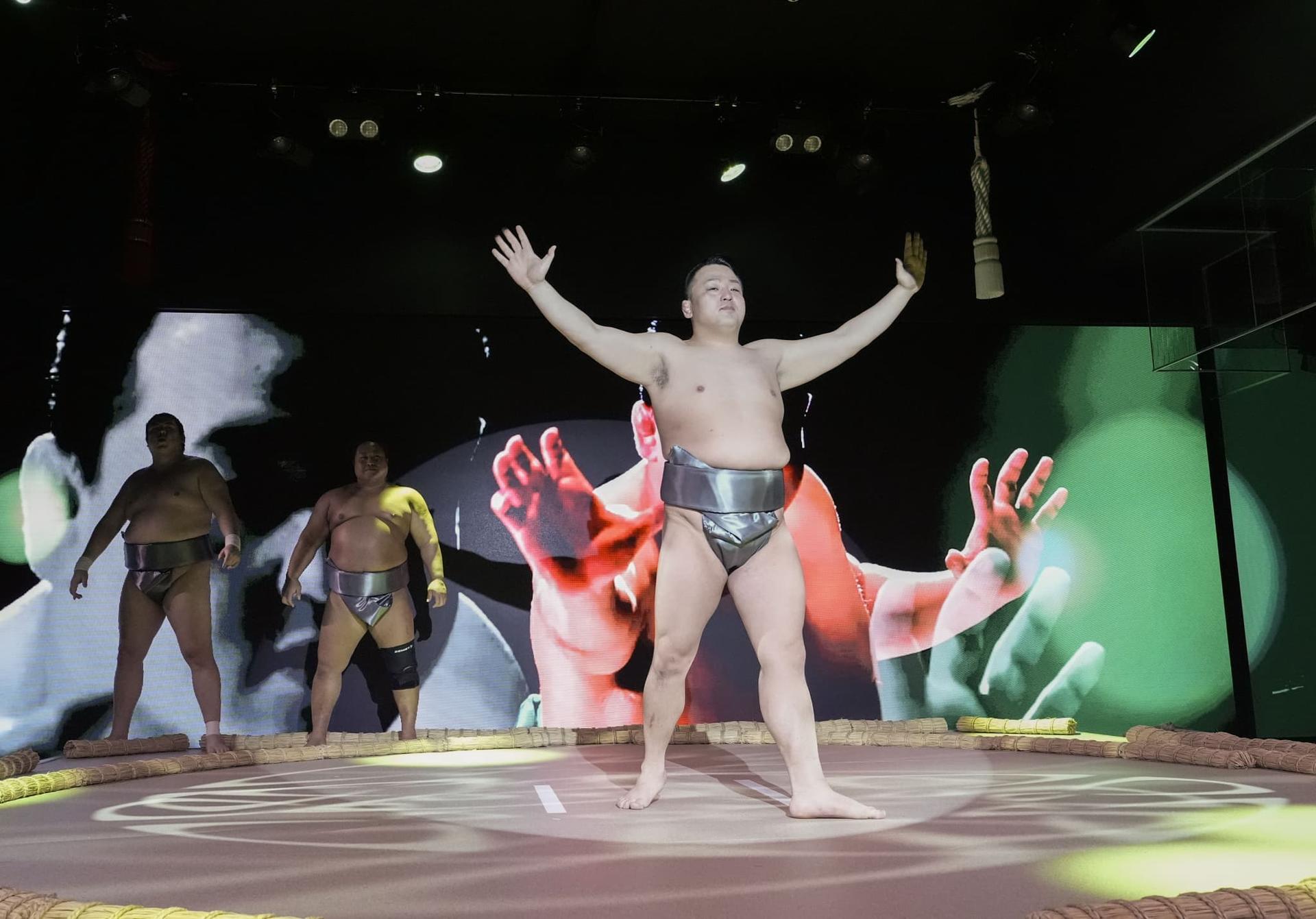 Tokyo Sumo Dinner Show in Ginza with Japanese Cuisine & Sake Bar - Thumbnail 17