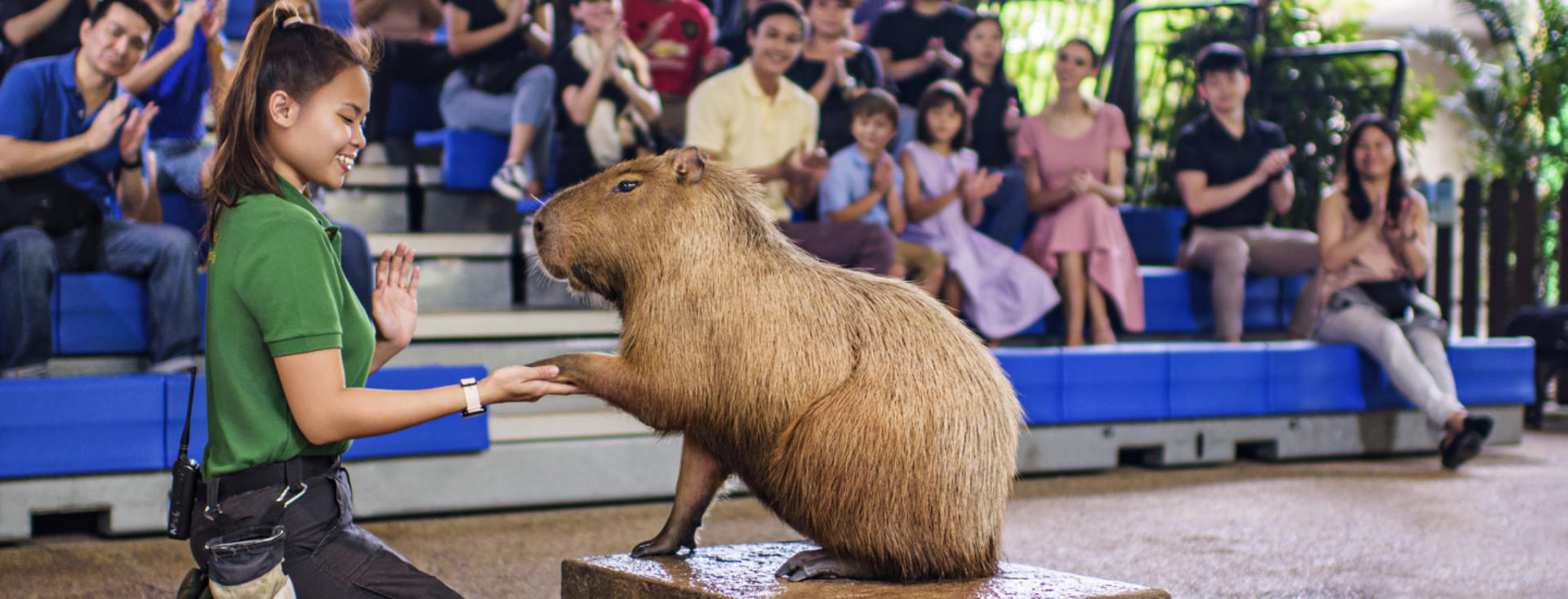 River Wonders Ticket | Mandai Wildlife Reserve, Singapore - Thumbnail 19