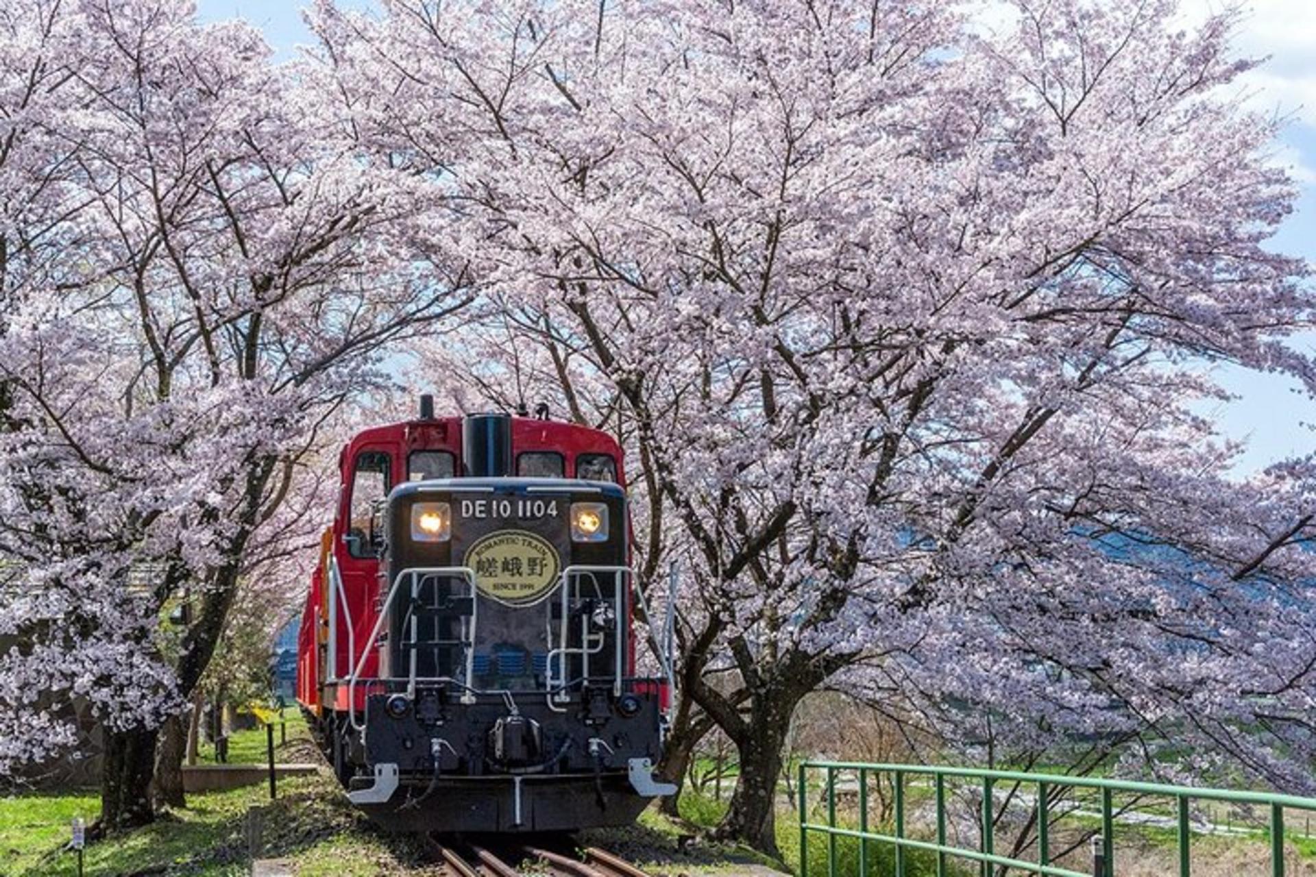Kyoto Hozugawa River Boat Sagano Romantic Train Tour - Thumbnail 3