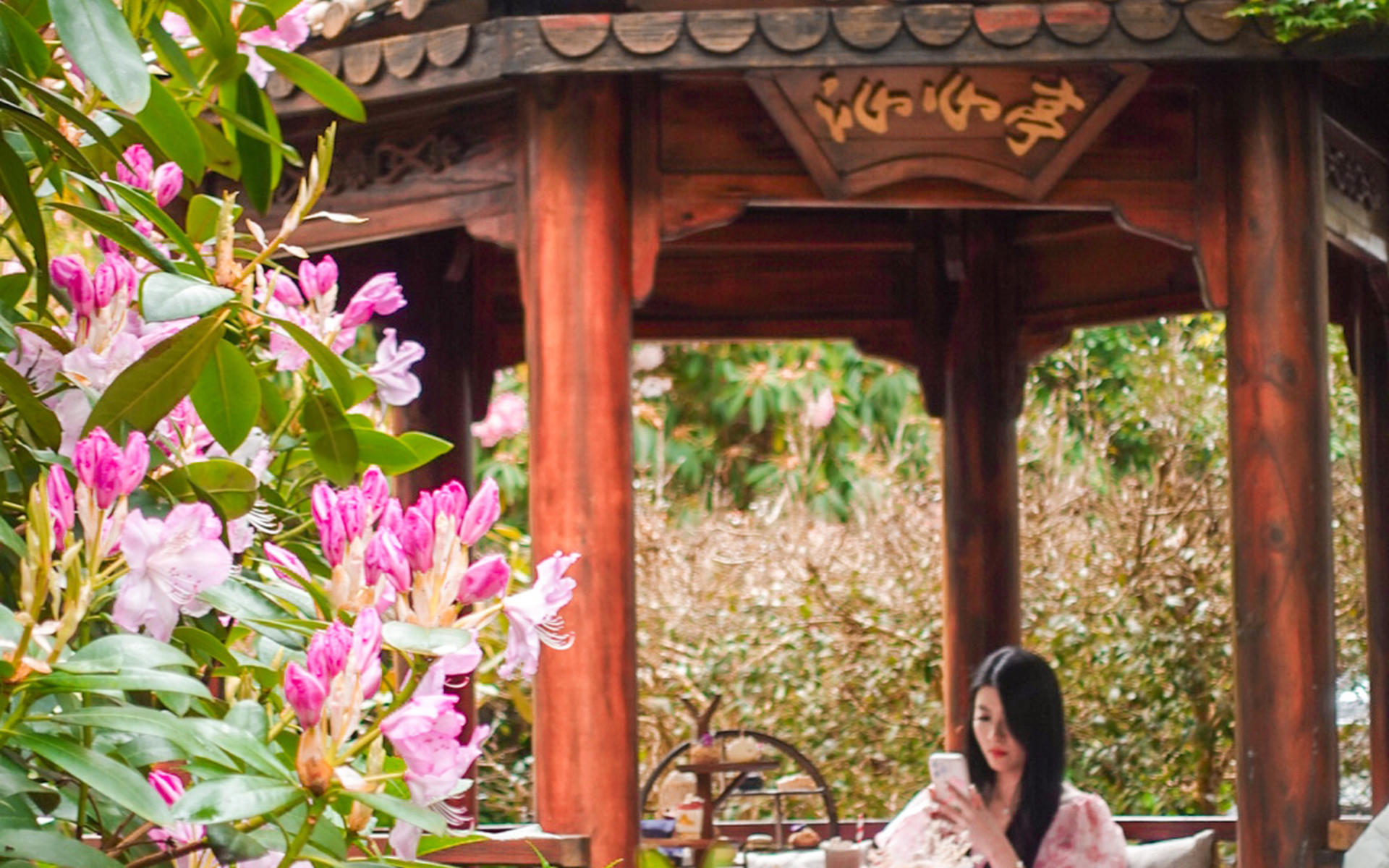 Olinda House High Tea Experience - Thumbnail 5