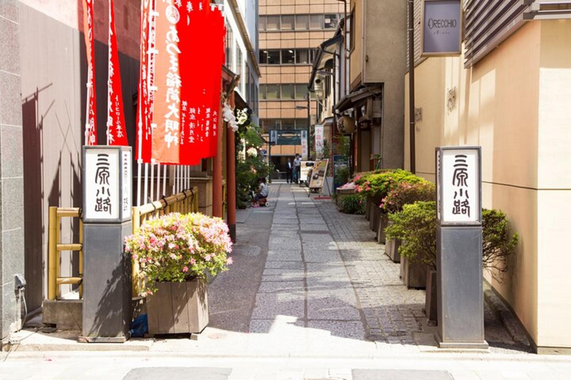 Tokyo Ginza Deep Back Alley Walking Tour - Thumbnail 13