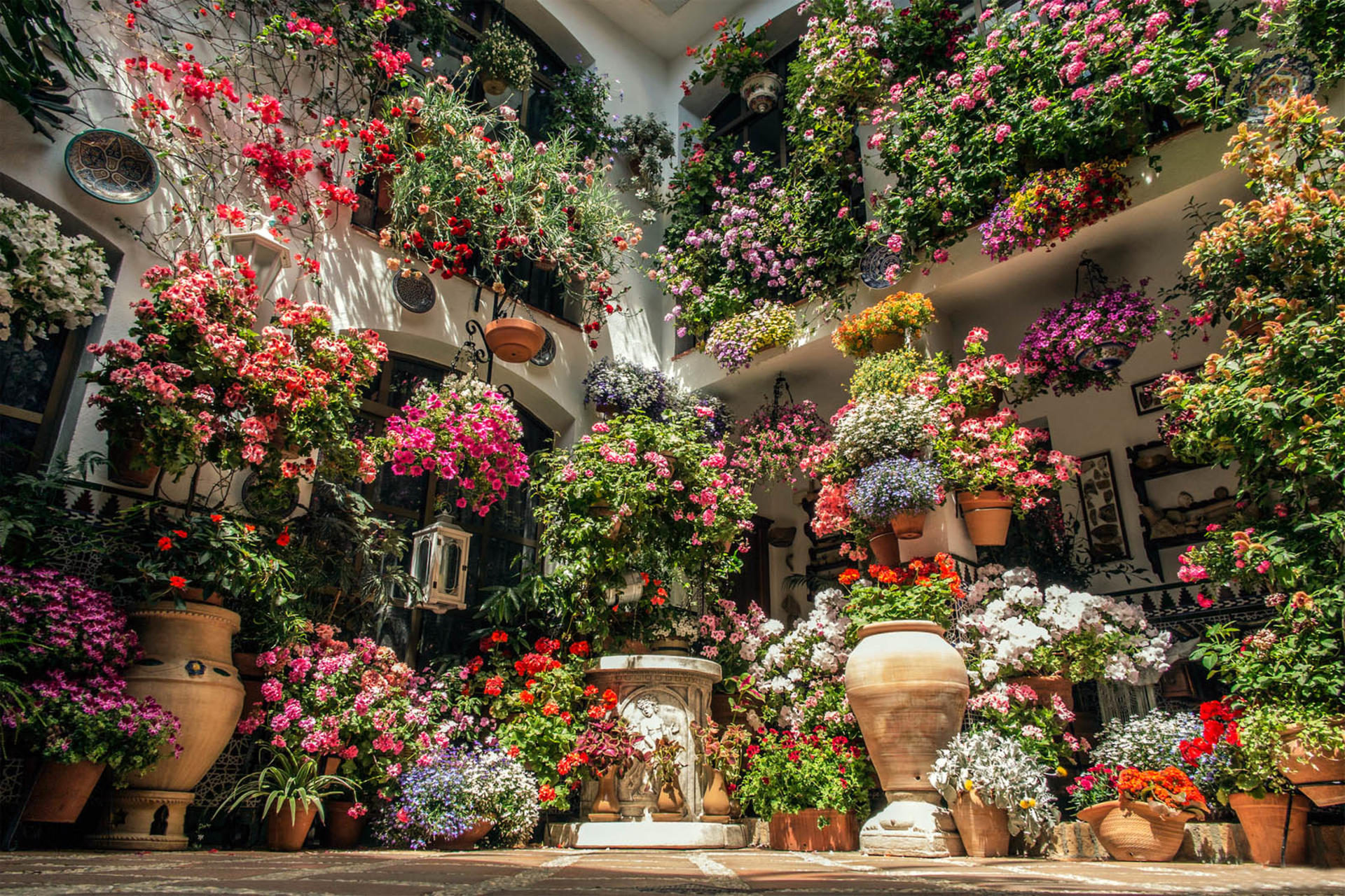 Popular Patios of Cordoba Guided Tour - Thumbnail 4