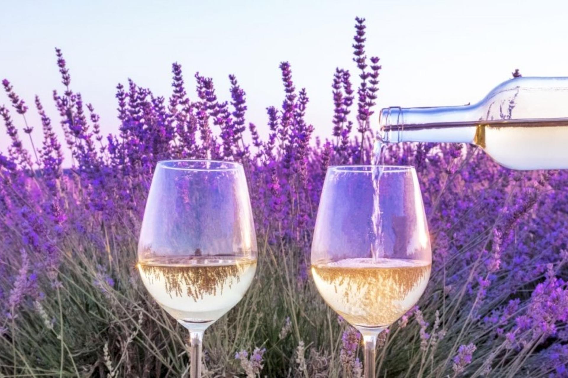 Provence Half Day Wine Tour from Aix en Provence - Image 1