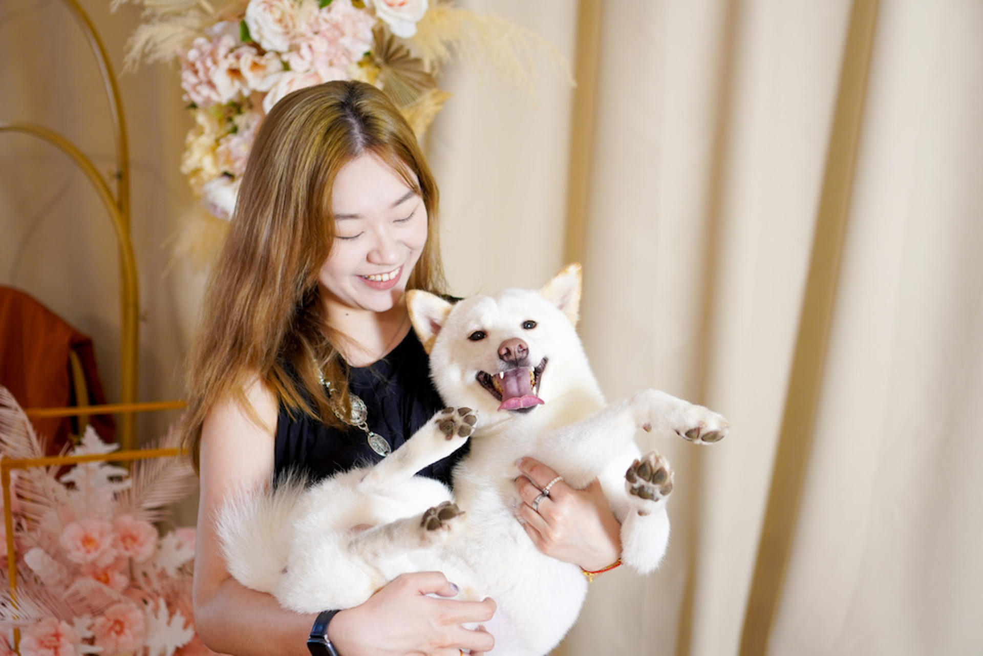 Hong Kong Kwun Tong Pet Photography (STUDIO) | Kwun Tong Studio + Kwun Tong Promenade - Thumbnail 2