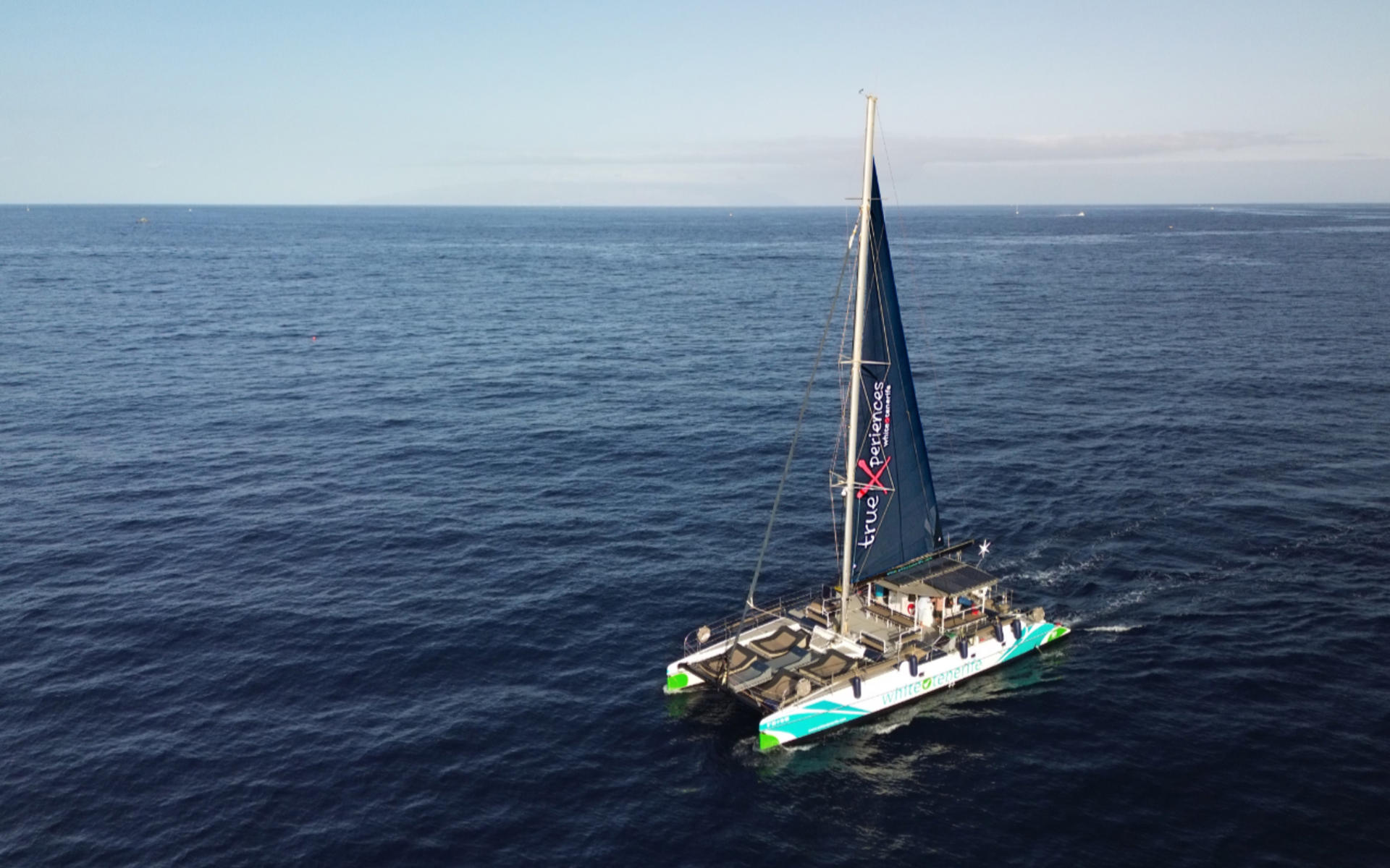 Whale and dolphin watching and listening experience in Costa Adeje - Thumbnail 5