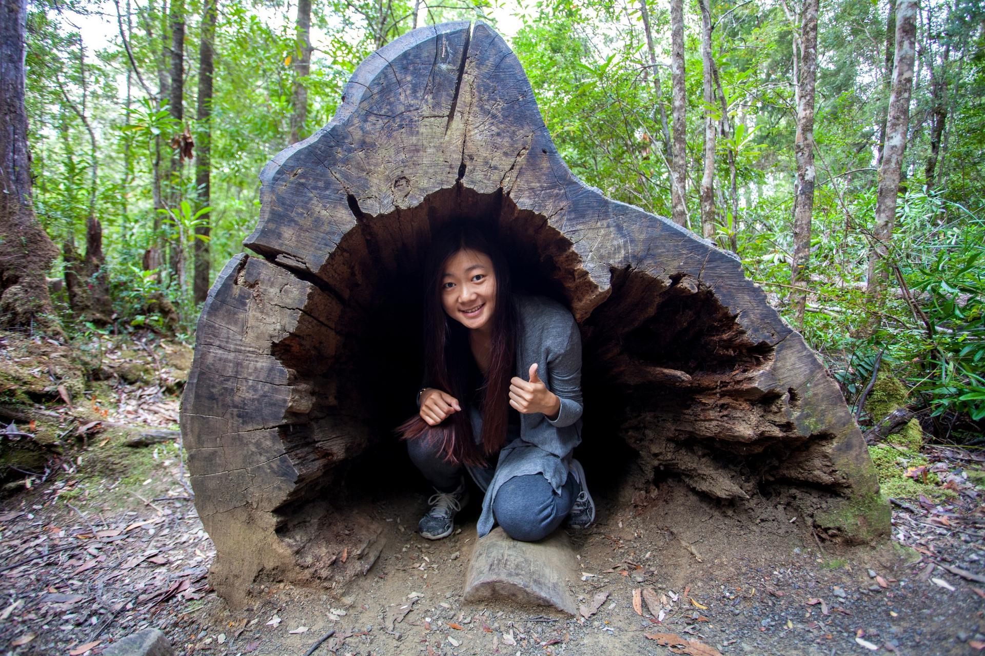Hobart:  Tahune Airwalk, Hastings Caves & Thermal Springs Pool - Thumbnail 3
