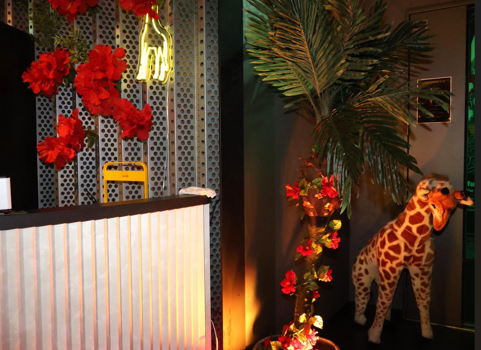 Osaka Dotonbori: GIRAFFE Nightclub Admission Ticket / VIP(For Foreigners only) - Thumbnail 9