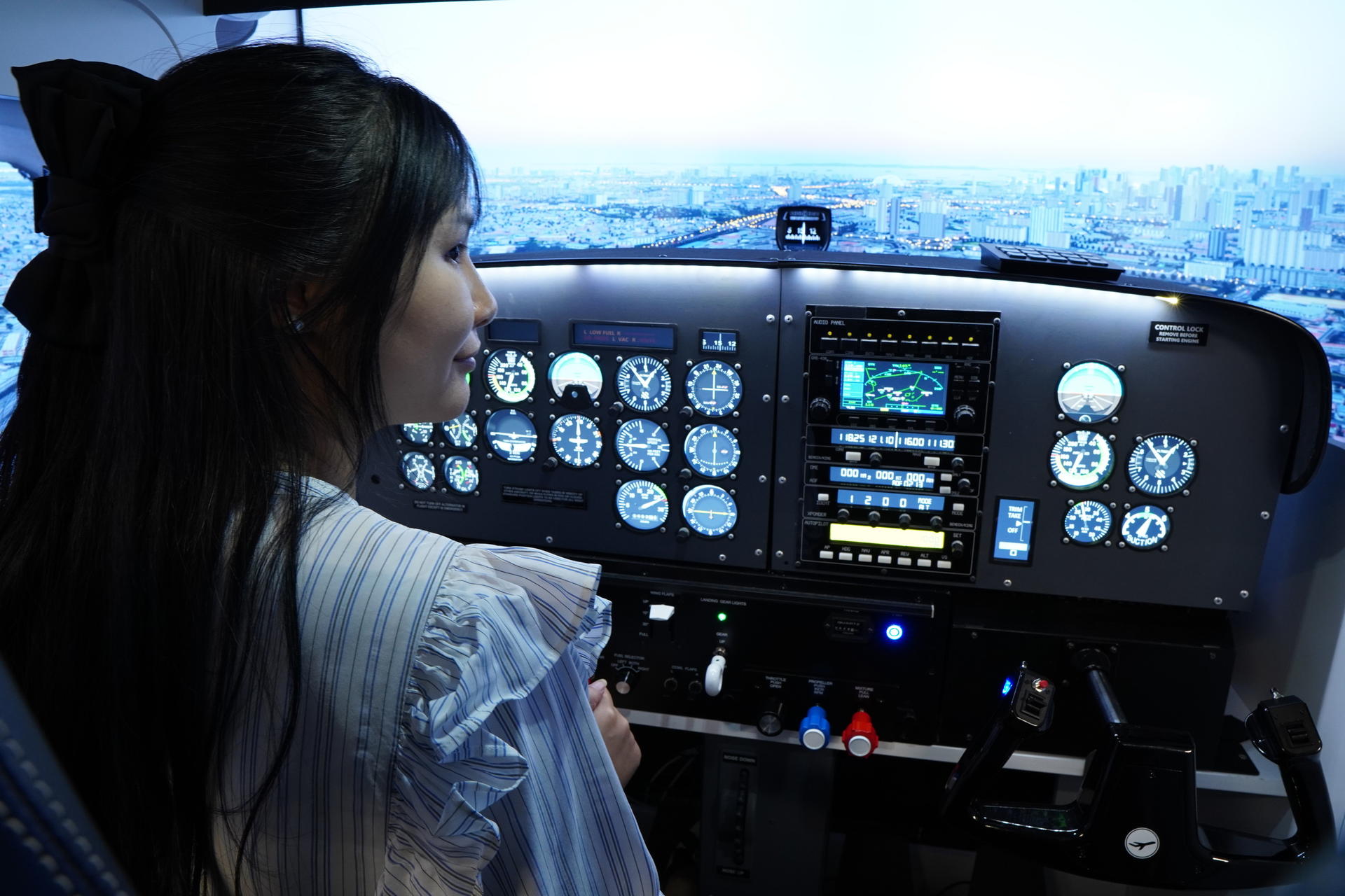 Ultimate Simulator Flight Experiences by WingsAcademy - Image 1