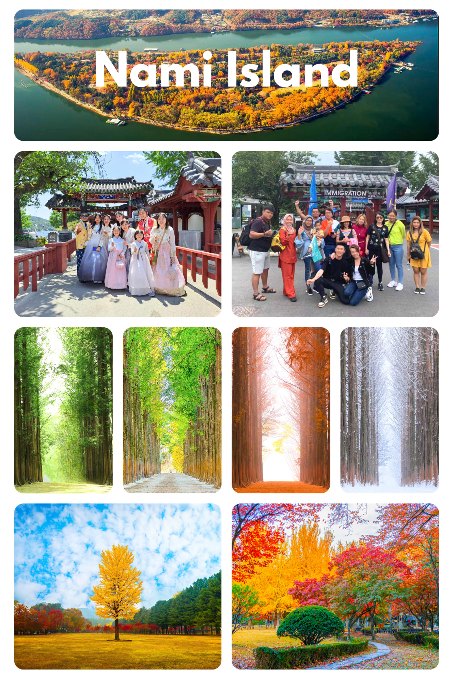 Gangwon-do and Gyeonggi-do Private Car Charter  - Thumbnail 7