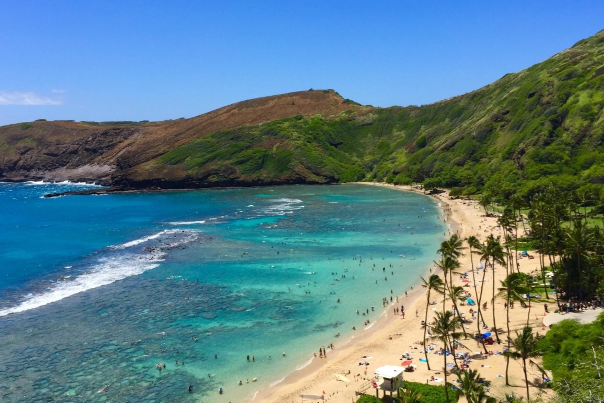Waikiki Trolley Pass in Hawaii - Thumbnail 4