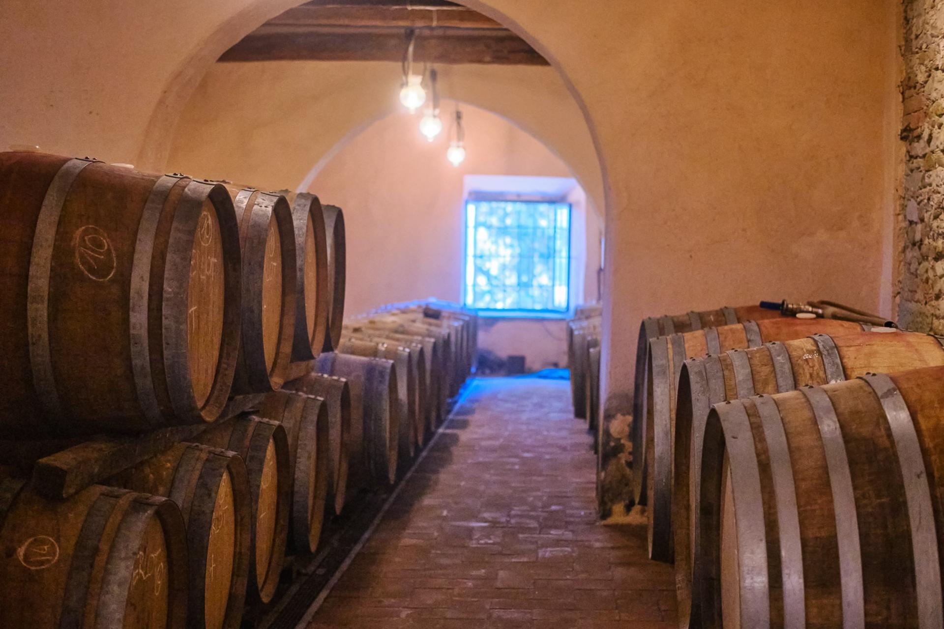 Chianti Delights: A Tale Of Two Wineries With A Vineyard Dinner - Thumbnail 6