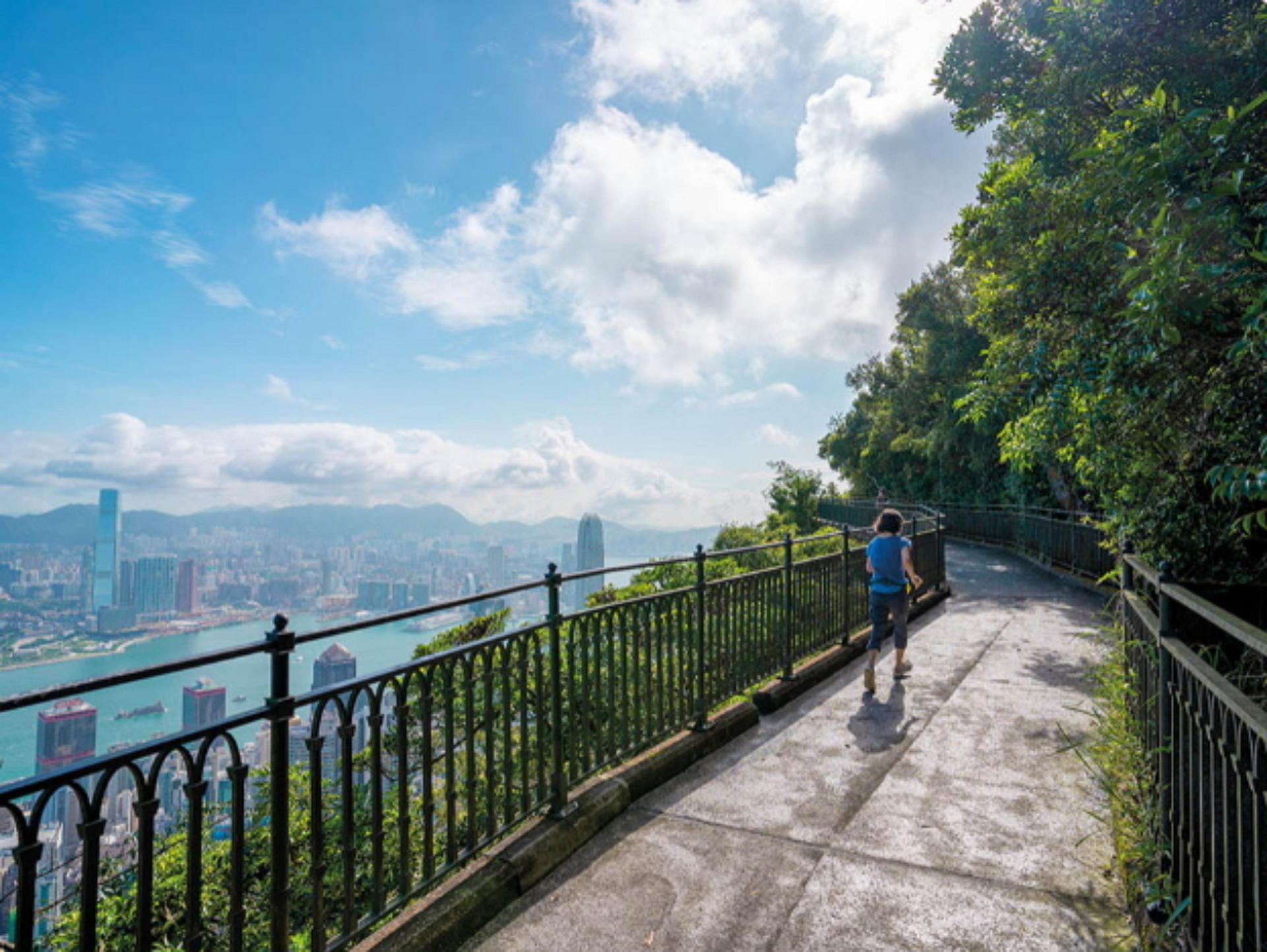 Hong Kong Half-Day Victoria Peak & Star Ferry Guided Tour - Thumbnail 12