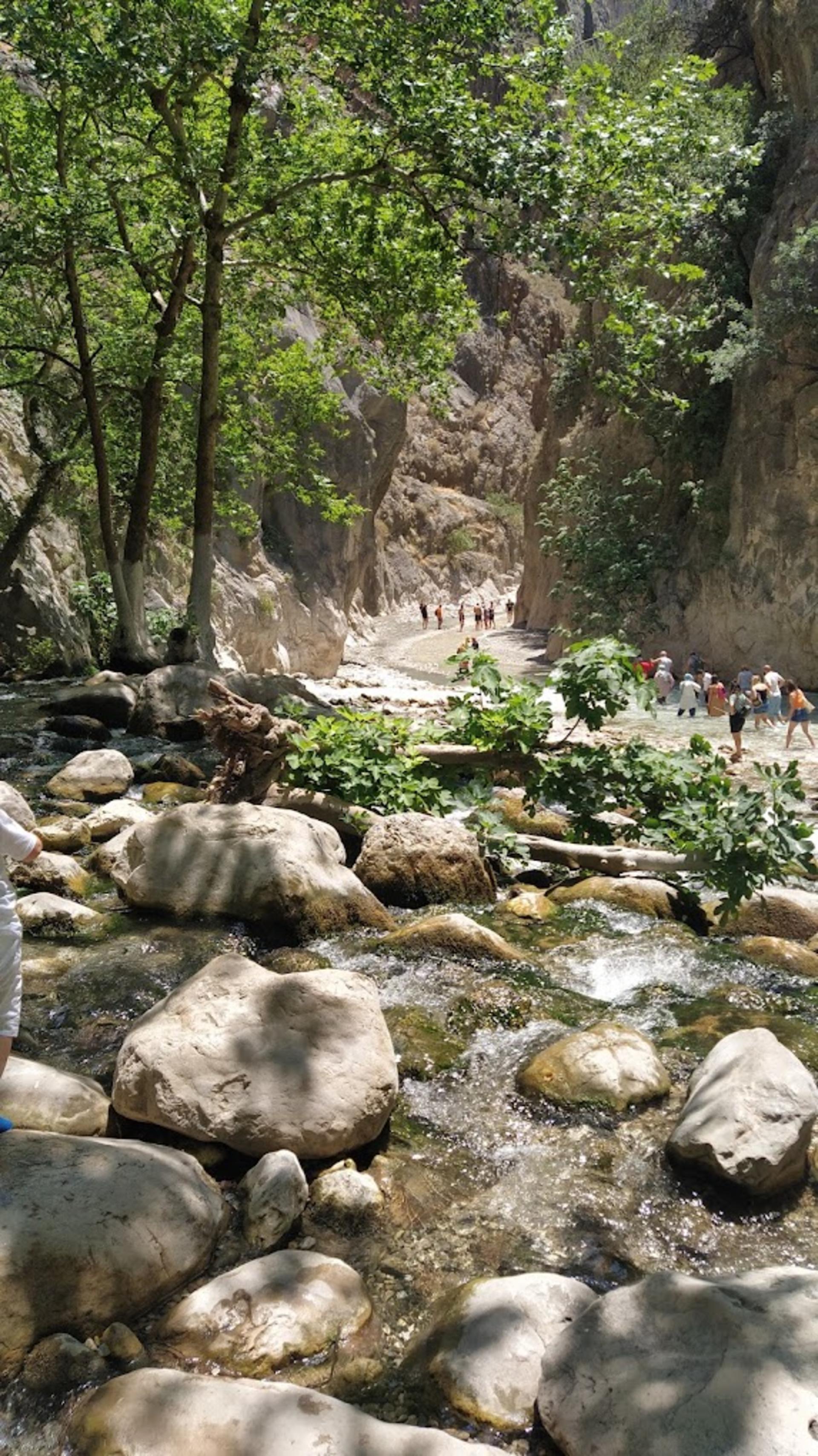 Fethiye Saklikent National Park Full-Day Adventure Tour - Thumbnail 11