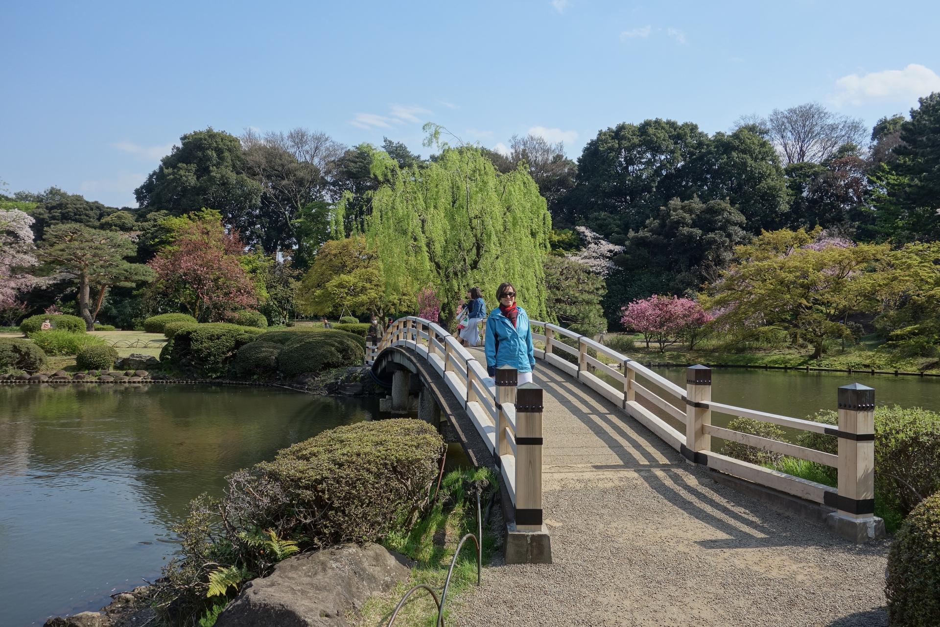 Shinjuku Gyoen National Garden - 2 Hours Walking Tour - Thumbnail 3