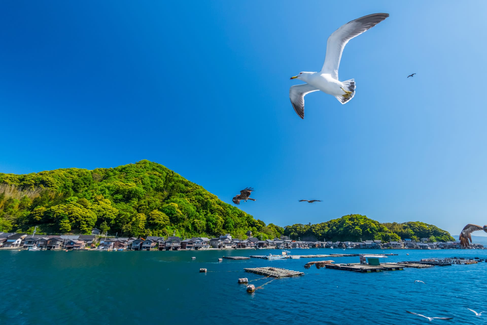 Day Trip to Amanohashidate & Ine no Funaya & Miyama Thatched Village in the Sea of Kyoto (Departure from Osaka or Kyoto) - Thumbnail 13