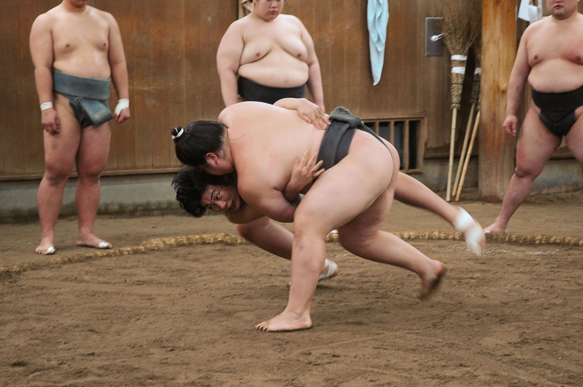 Tokyo Sumo Morning Practice: Viewing & Exclusive Interaction - Thumbnail 12