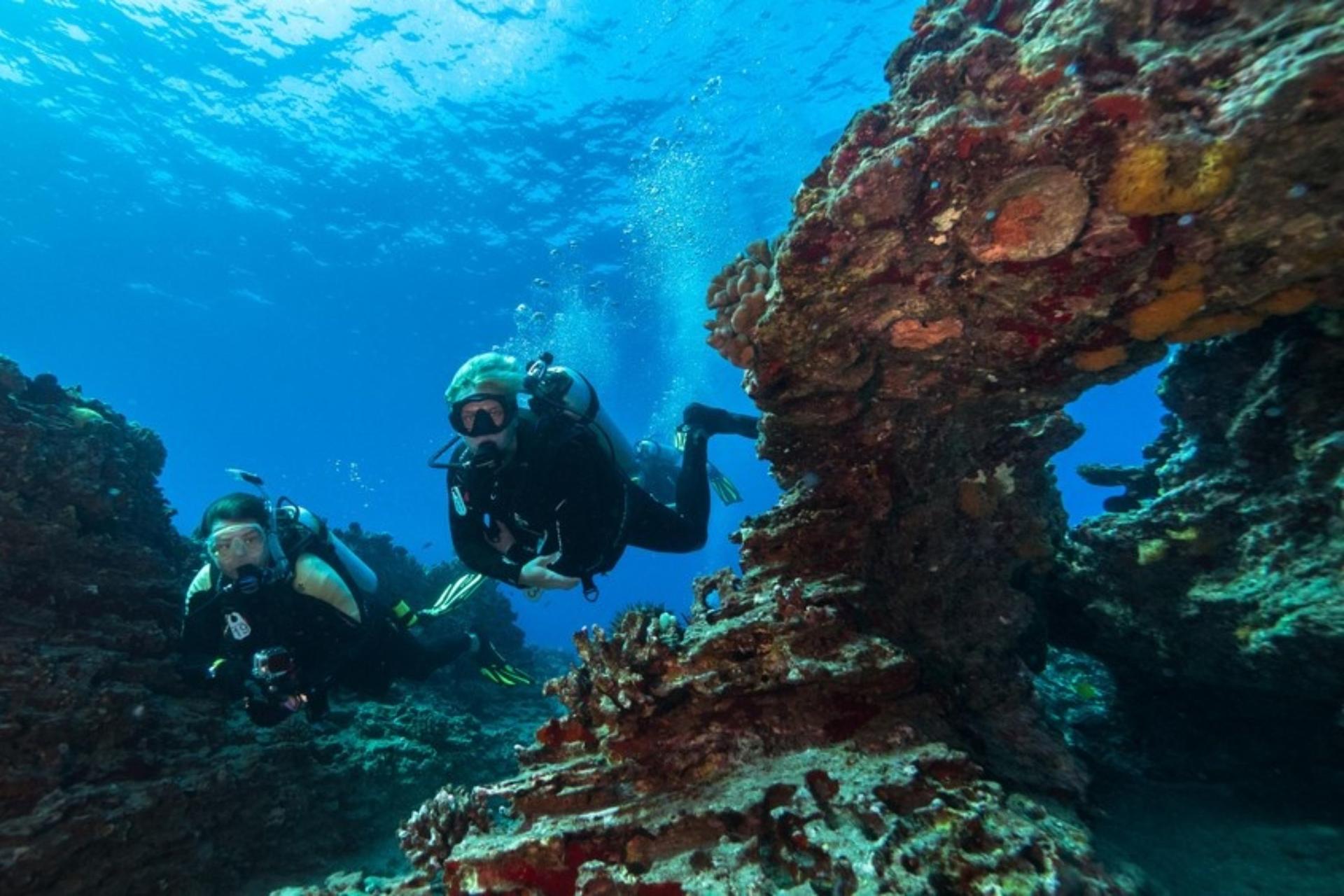 Honolulu Introductory Discovery Diving Experience - Thumbnail 2