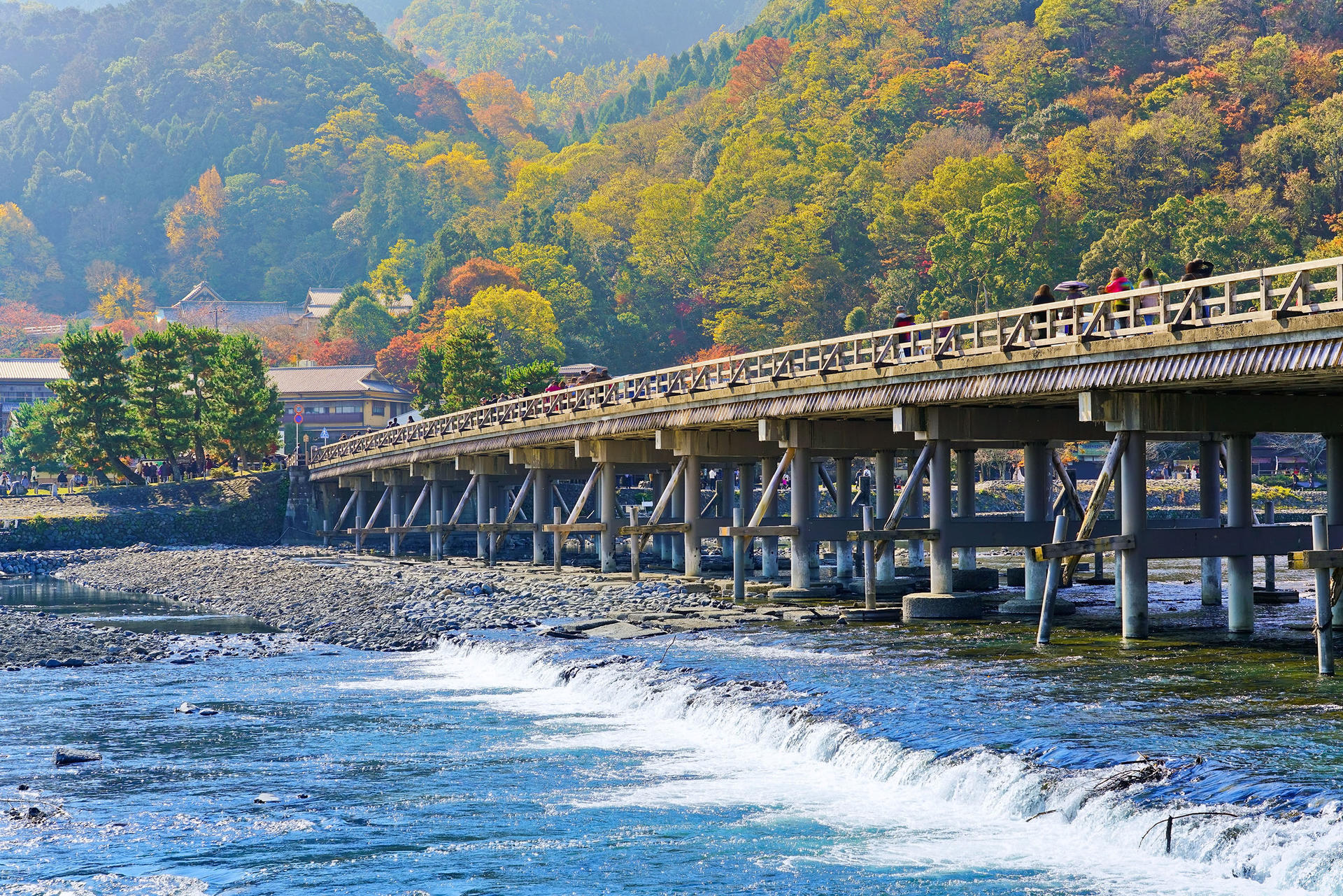 Best of Kyoto & Nara: Kiyomizudera, Nara Park, Todaiji & Much More - Thumbnail 11