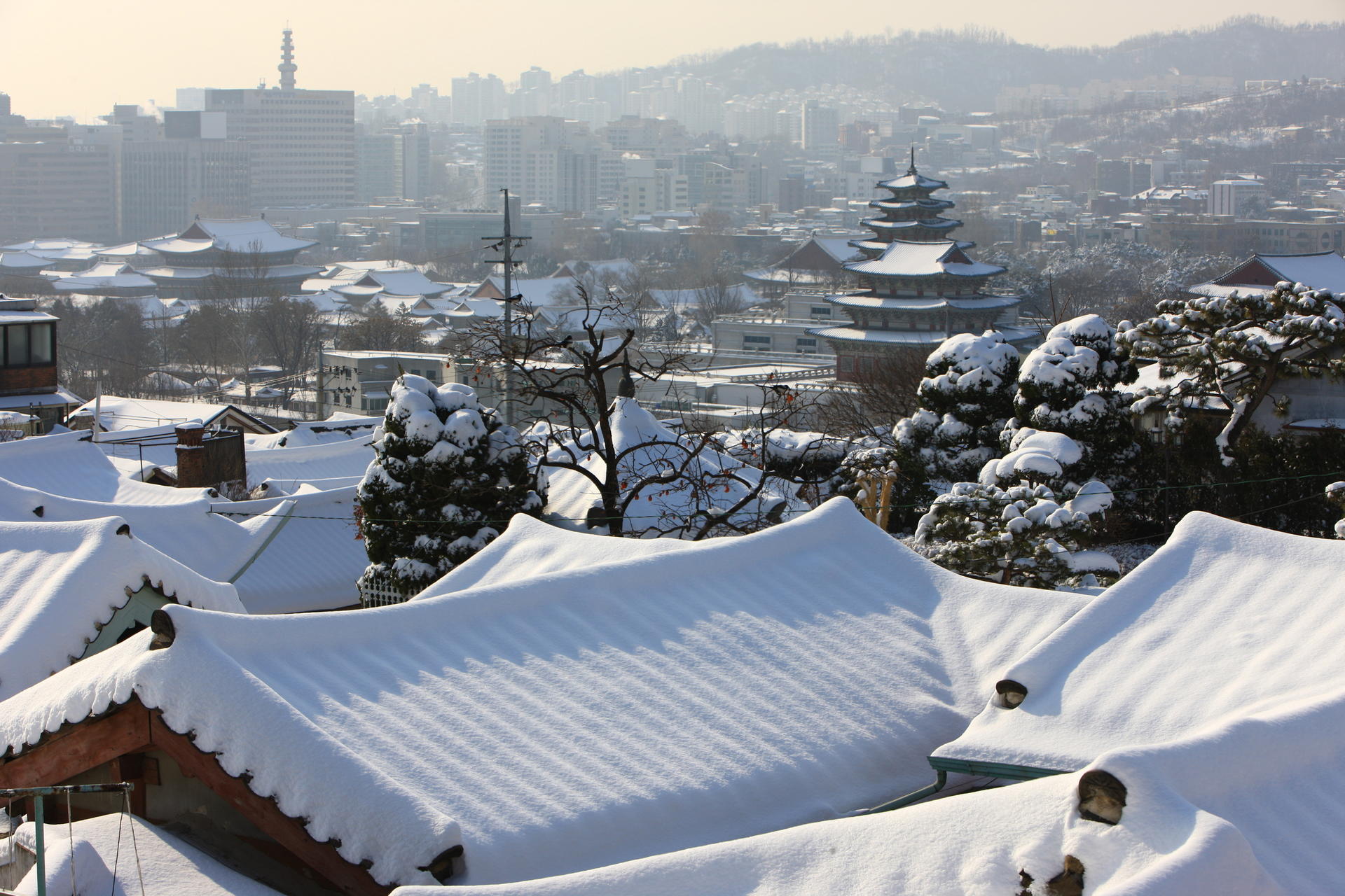 Seoul Private Half day Walking Tour - Thumbnail 36