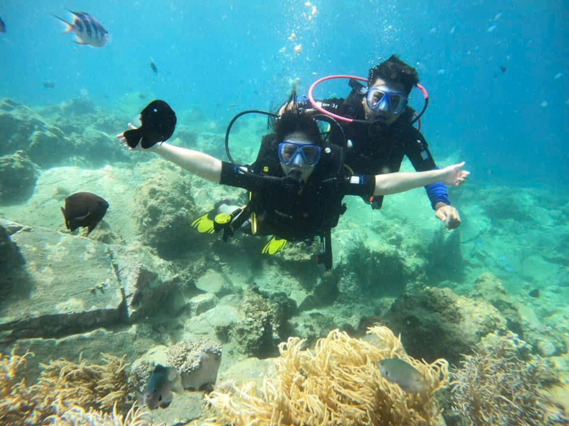 Scuba Diving Experience at Coral Reef from Nha Trang - Thumbnail 9