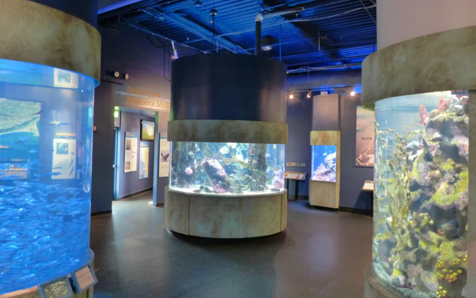 Aquarium of the Bay Ticket - Thumbnail 5