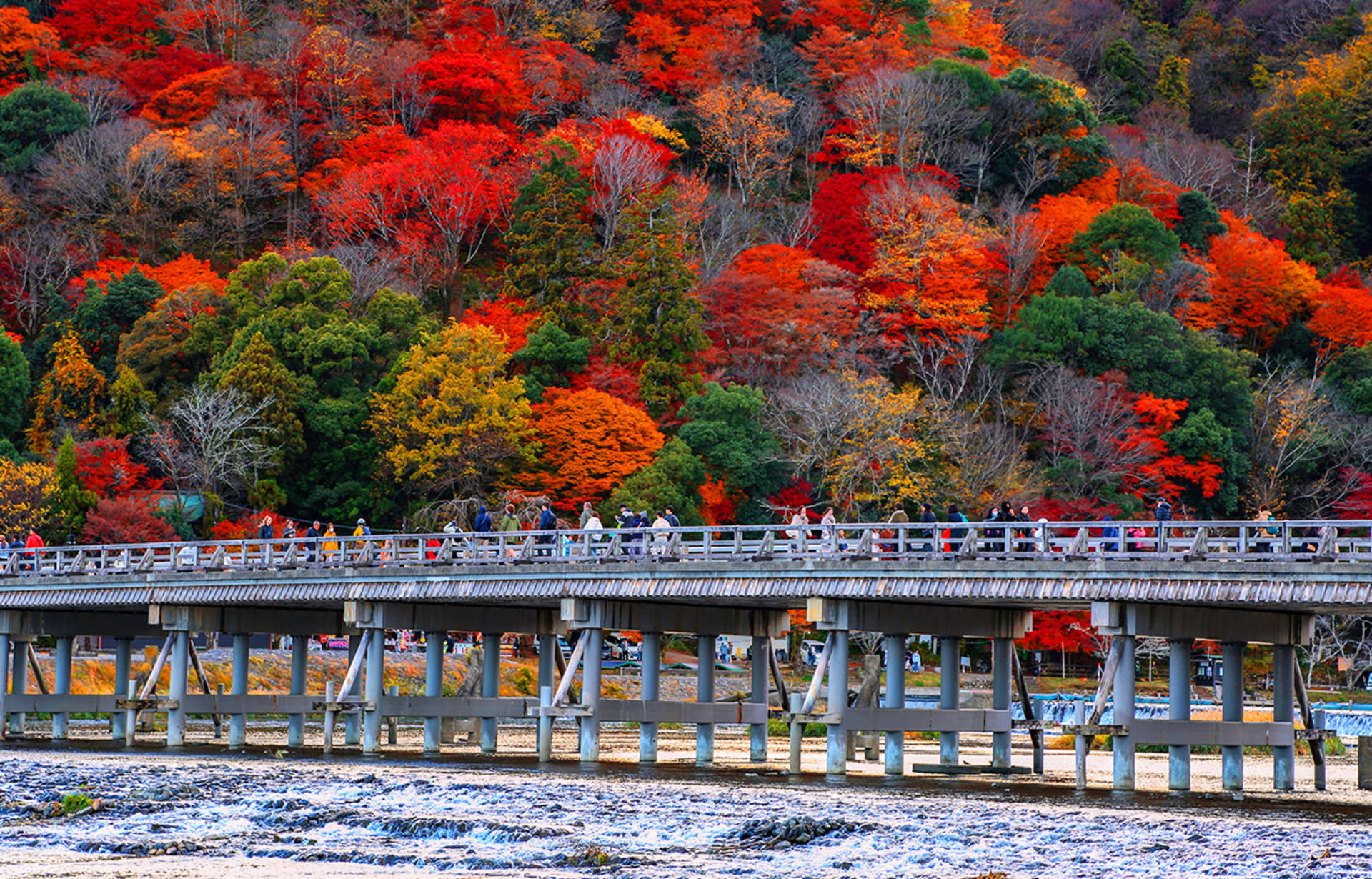 Kyoto Sanzen-in, Kifune Shrine, and Arashiyama Small Group Day Tour (Driver-Guide Service) - Thumbnail 11
