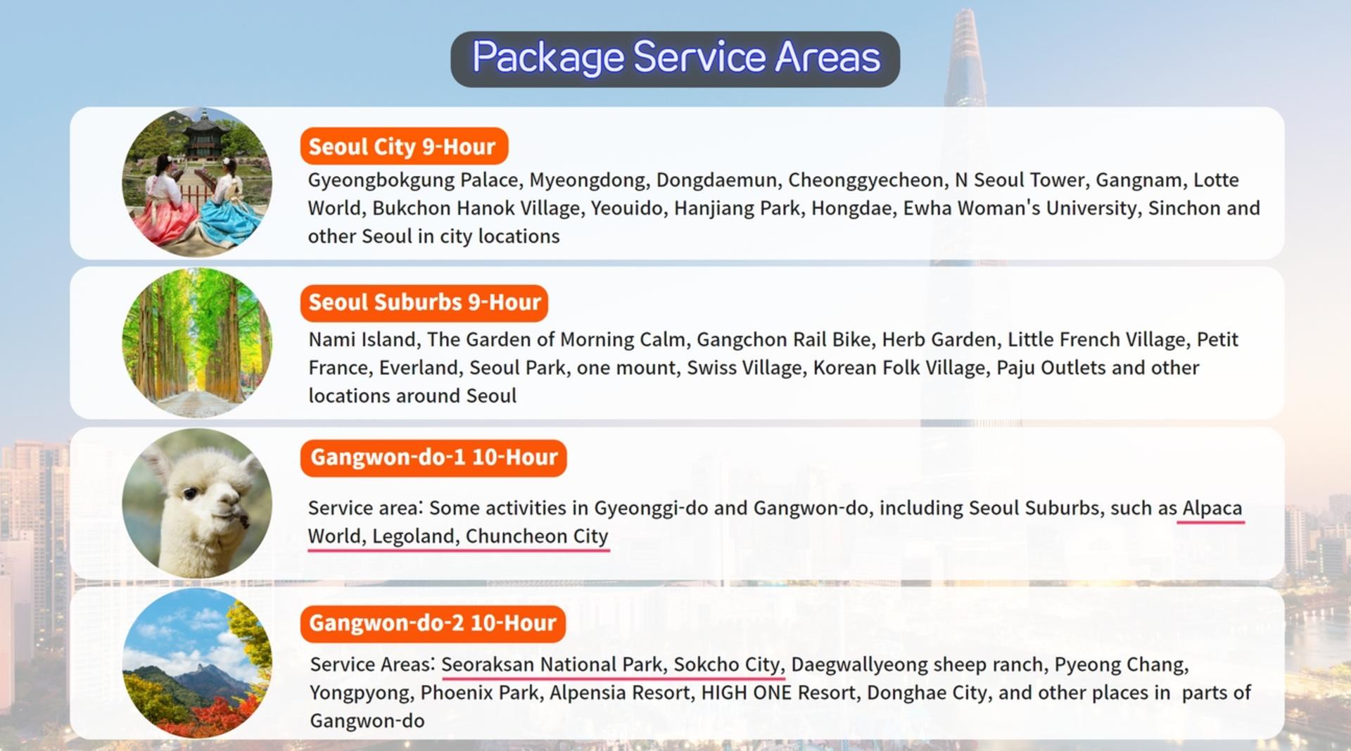 Gangwon-do and Gyeonggi-do Private Car Charter  - Thumbnail 3