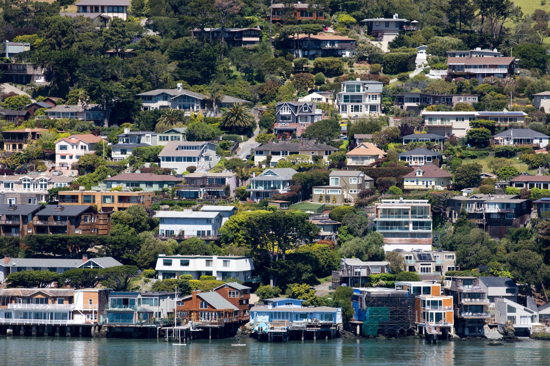Muir Woods and Sausalito Half Day Tour - Thumbnail 2